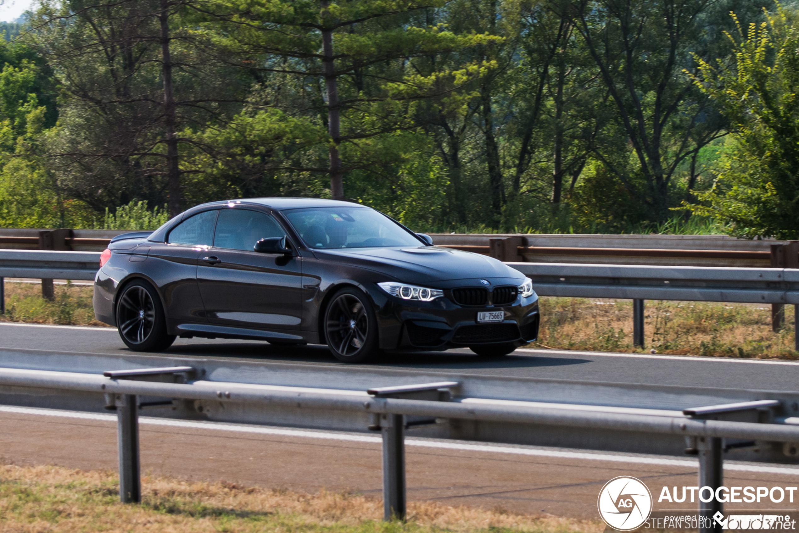 BMW M4 F83 Convertible