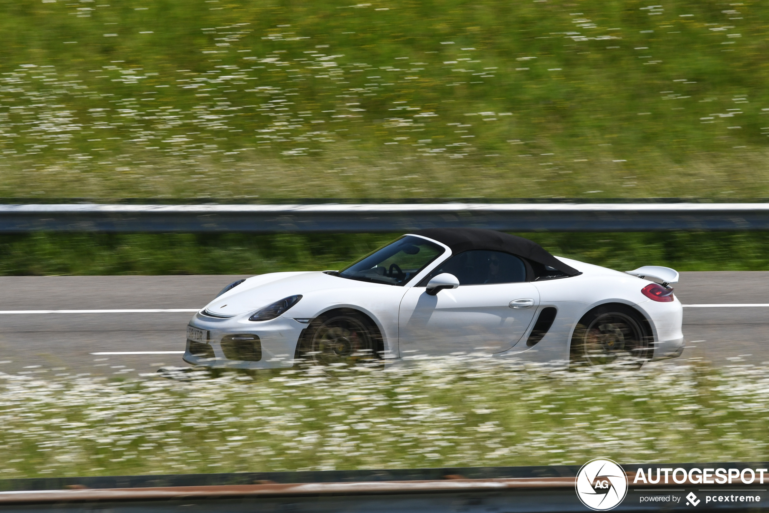 Porsche 981 Boxster Spyder