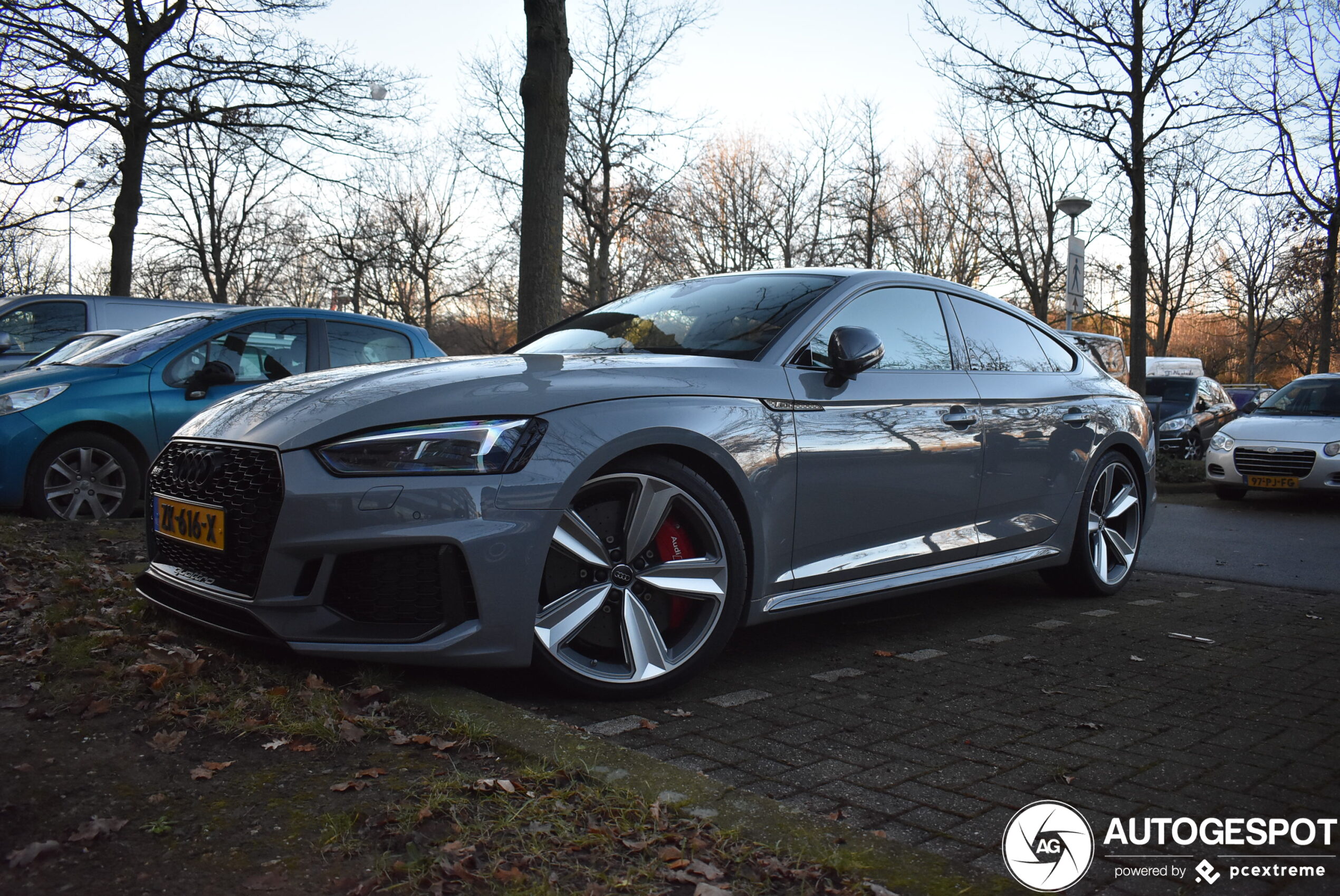 Audi RS5 Sportback B9