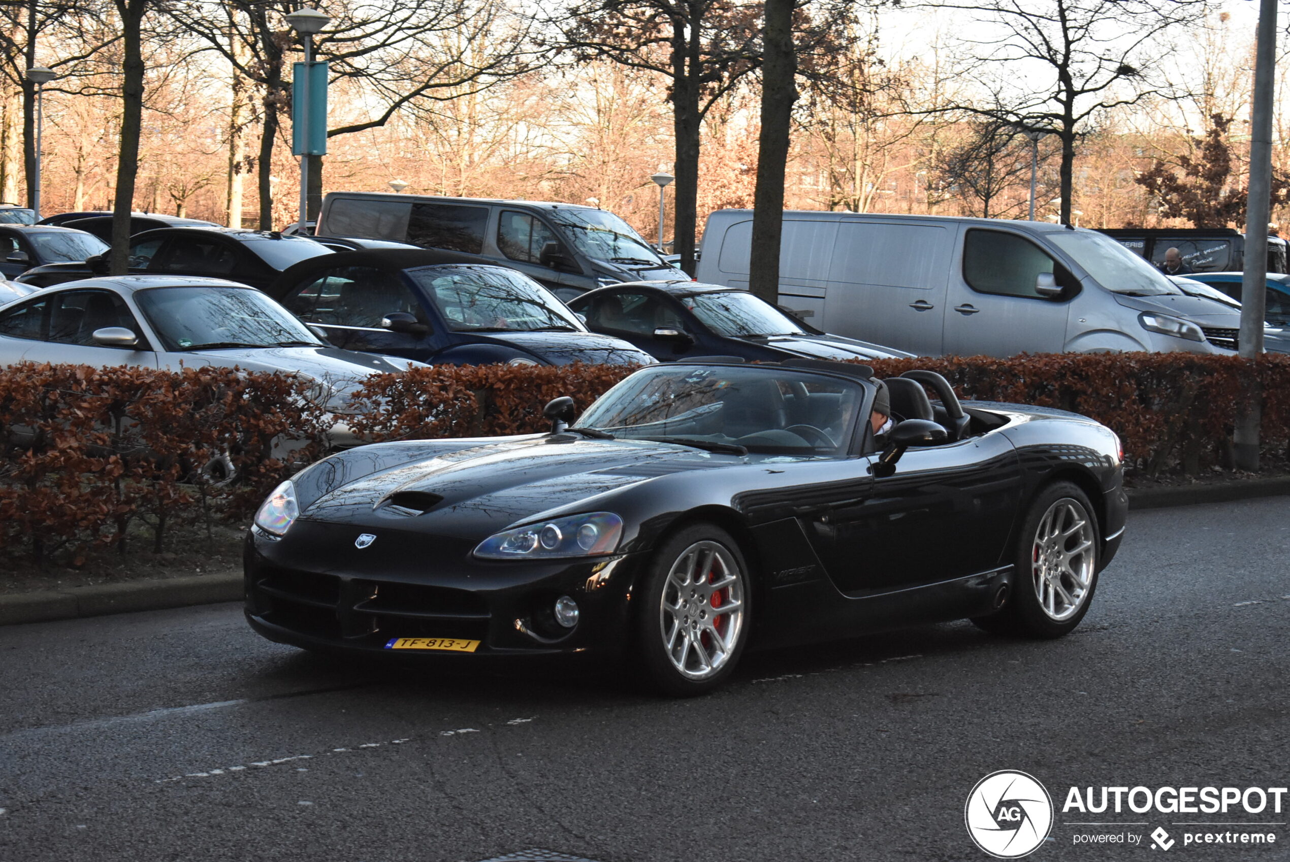 Dodge Viper SRT-10 Roadster 2003