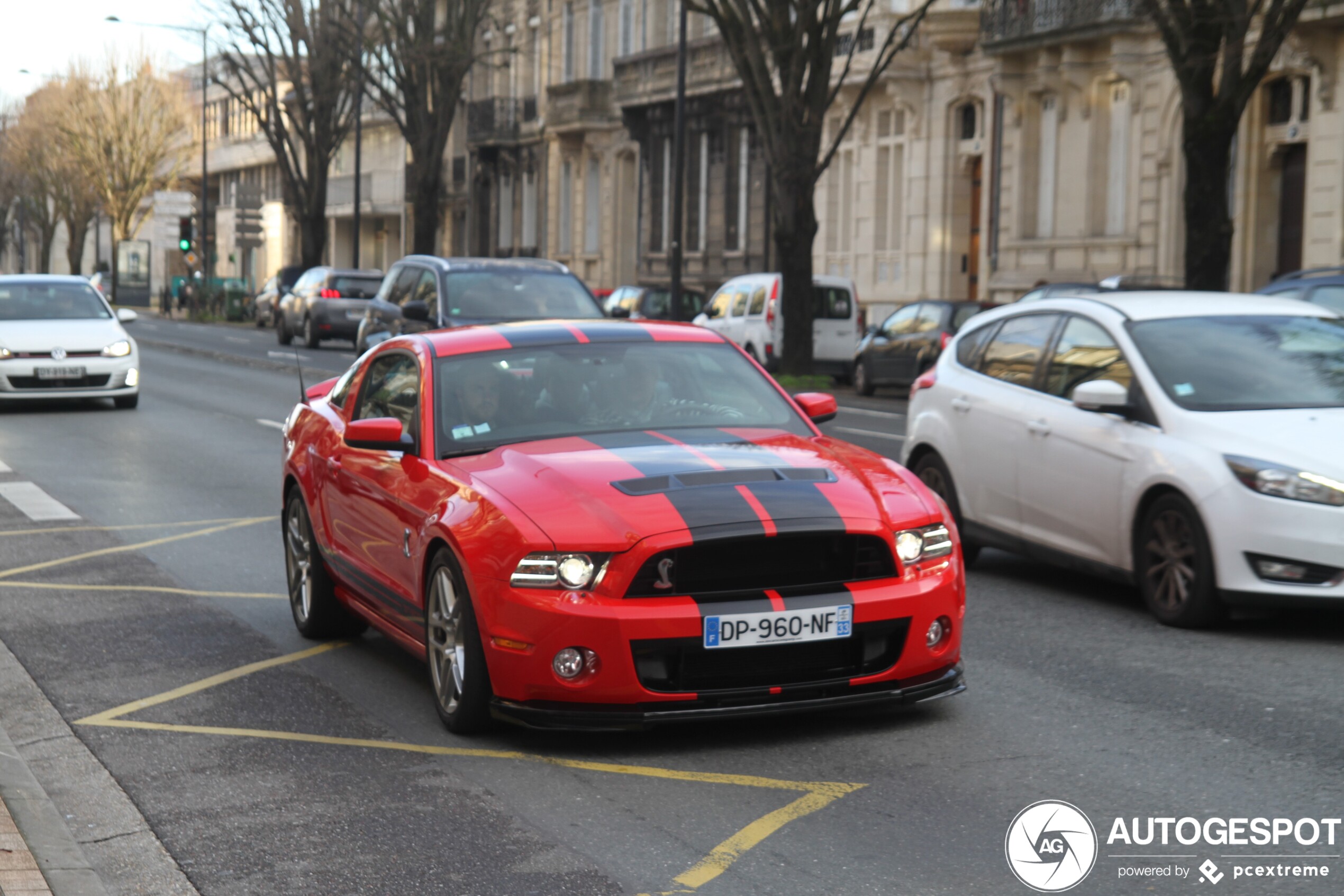 Ford Mustang Shelby GT500 20th Anniversary