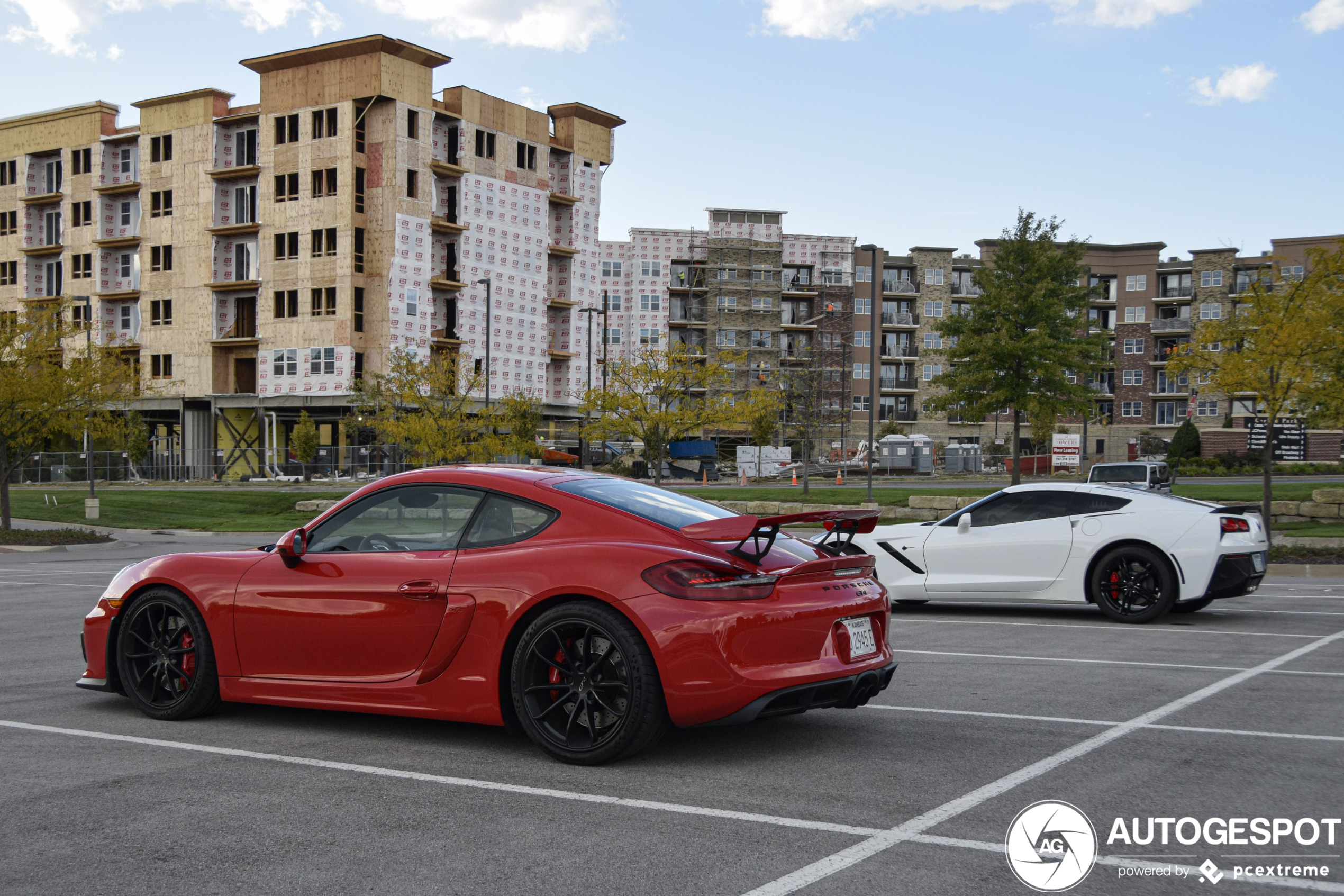 Porsche 981 Cayman GT4