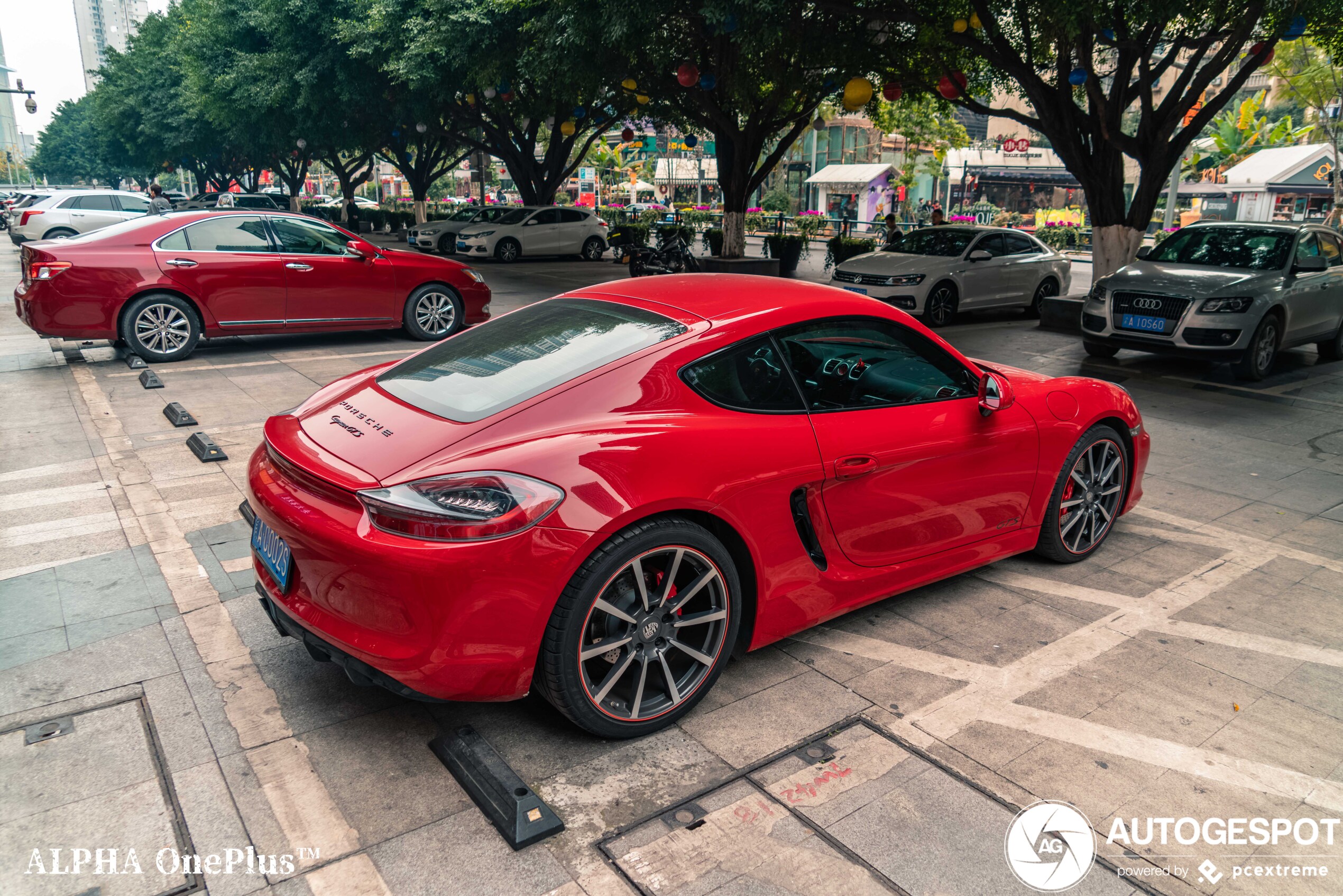 Porsche 981 Cayman GTS