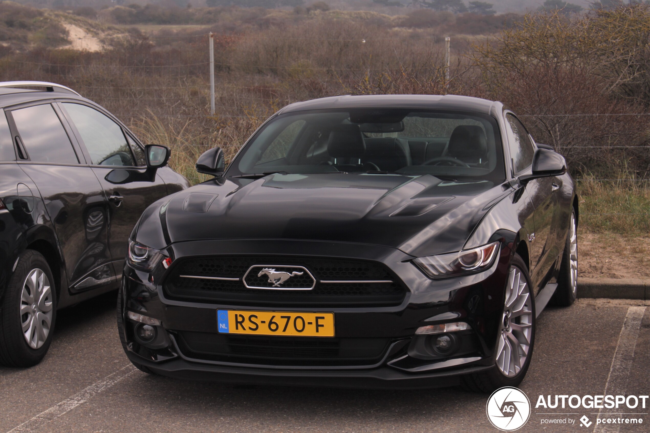 Ford Mustang GT 50th Anniversary Edition