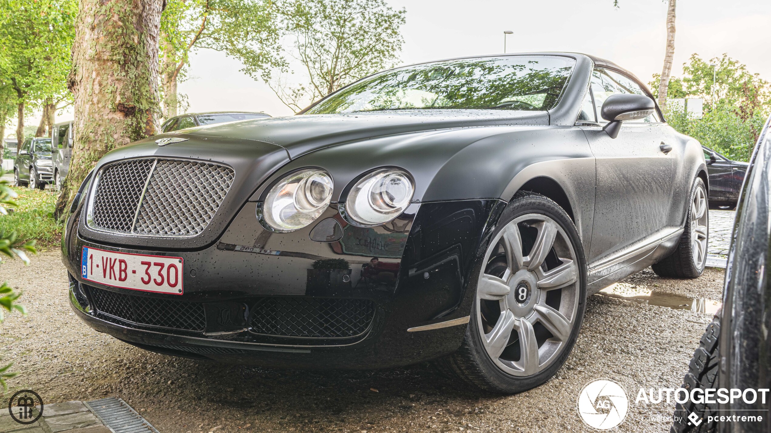 Bentley Continental GTC