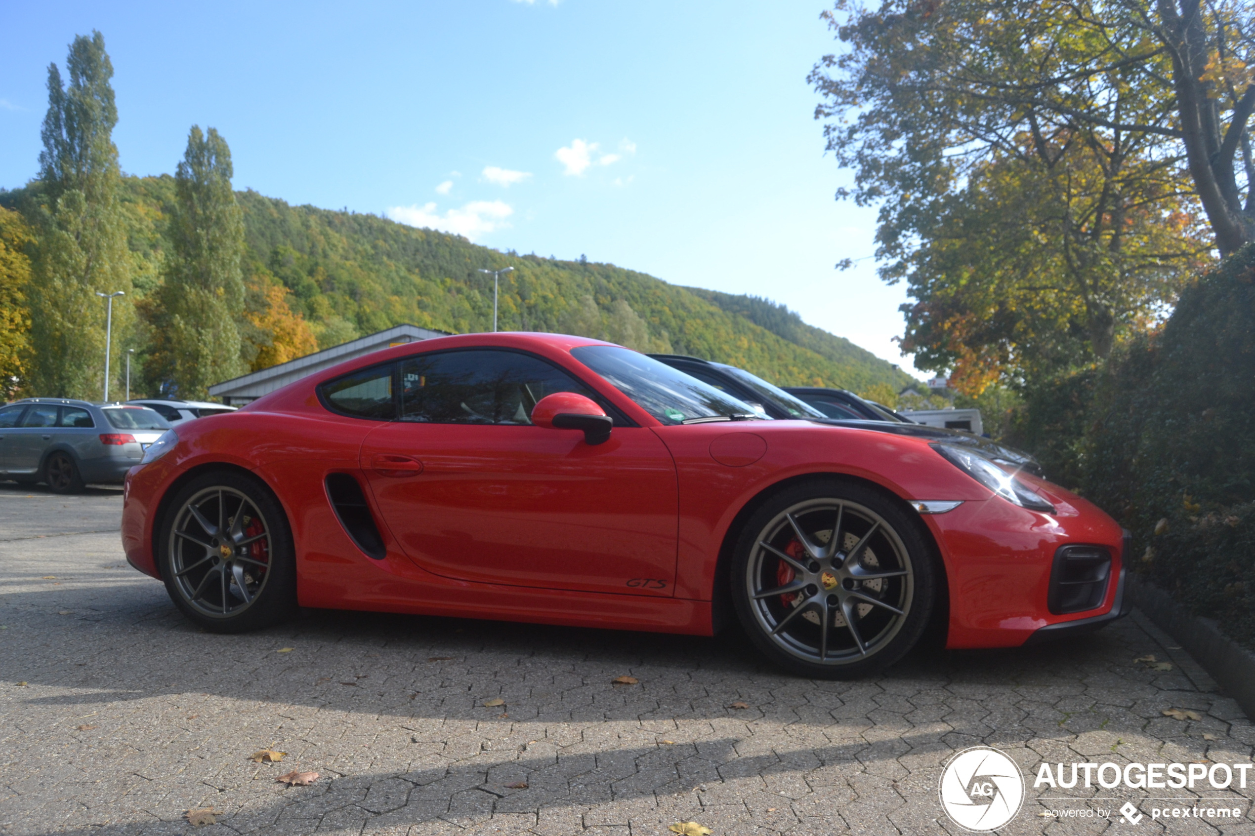 Porsche 981 Cayman GTS