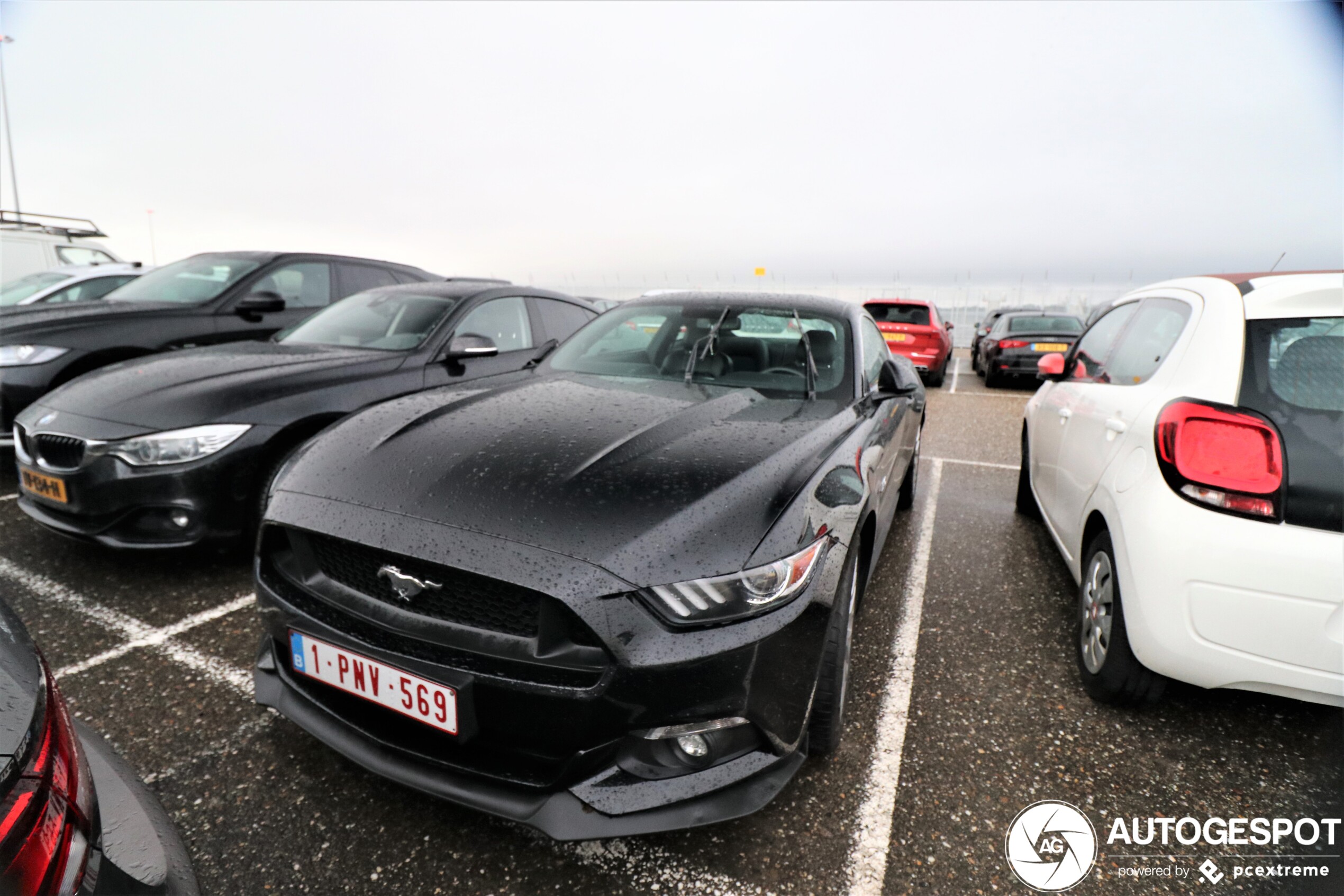 Ford Mustang GT 2015