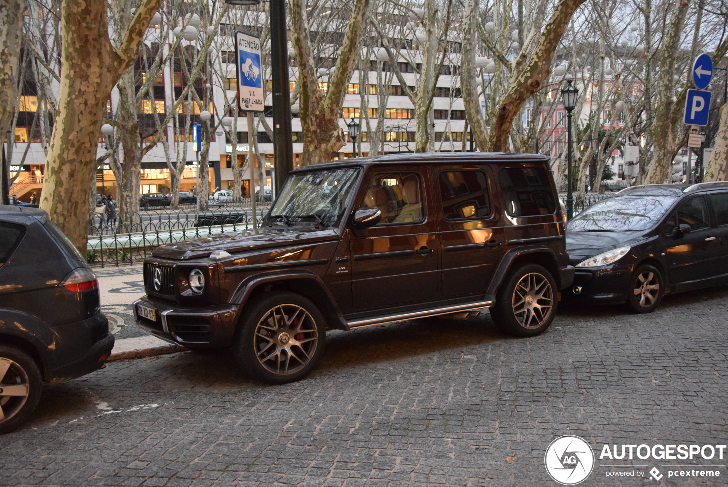 Mercedes-AMG G 63 W463 2018