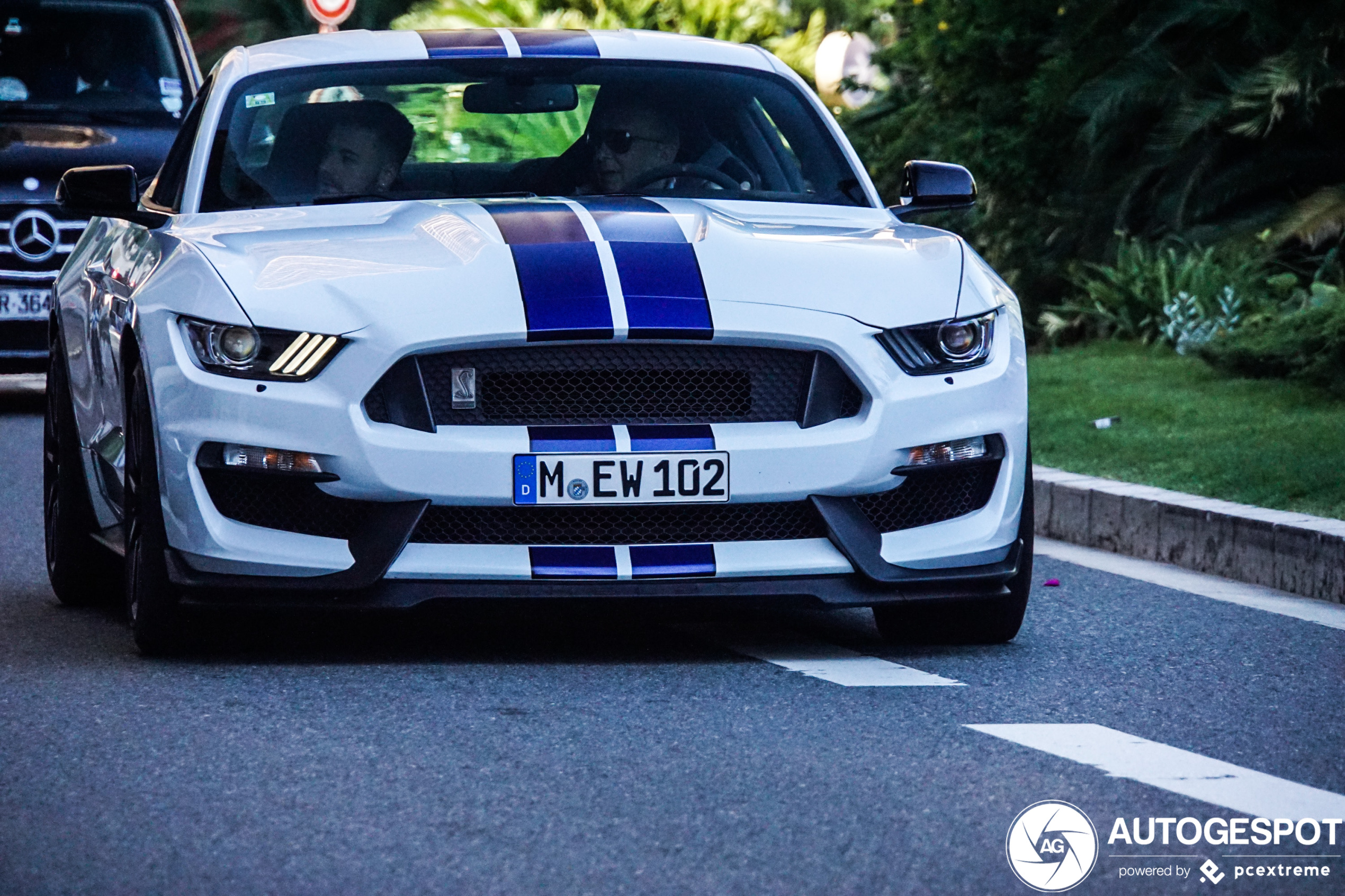 Ford Mustang Shelby GT350 2015