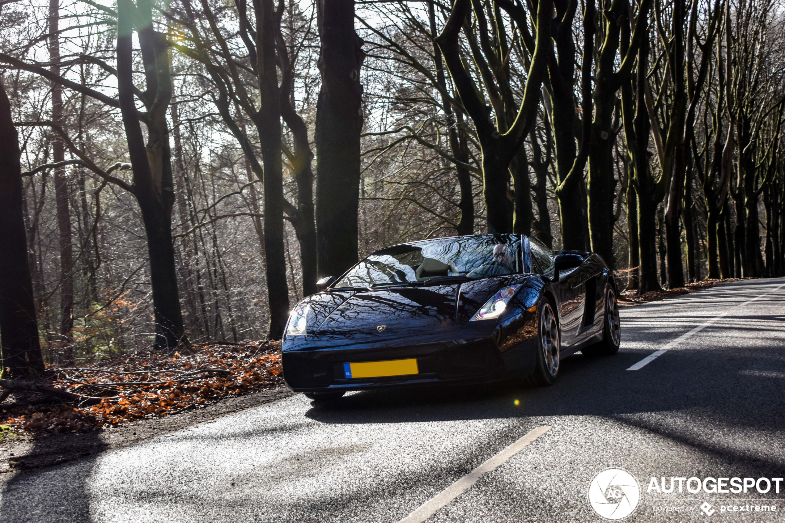 Lamborghini Gallardo Spyder