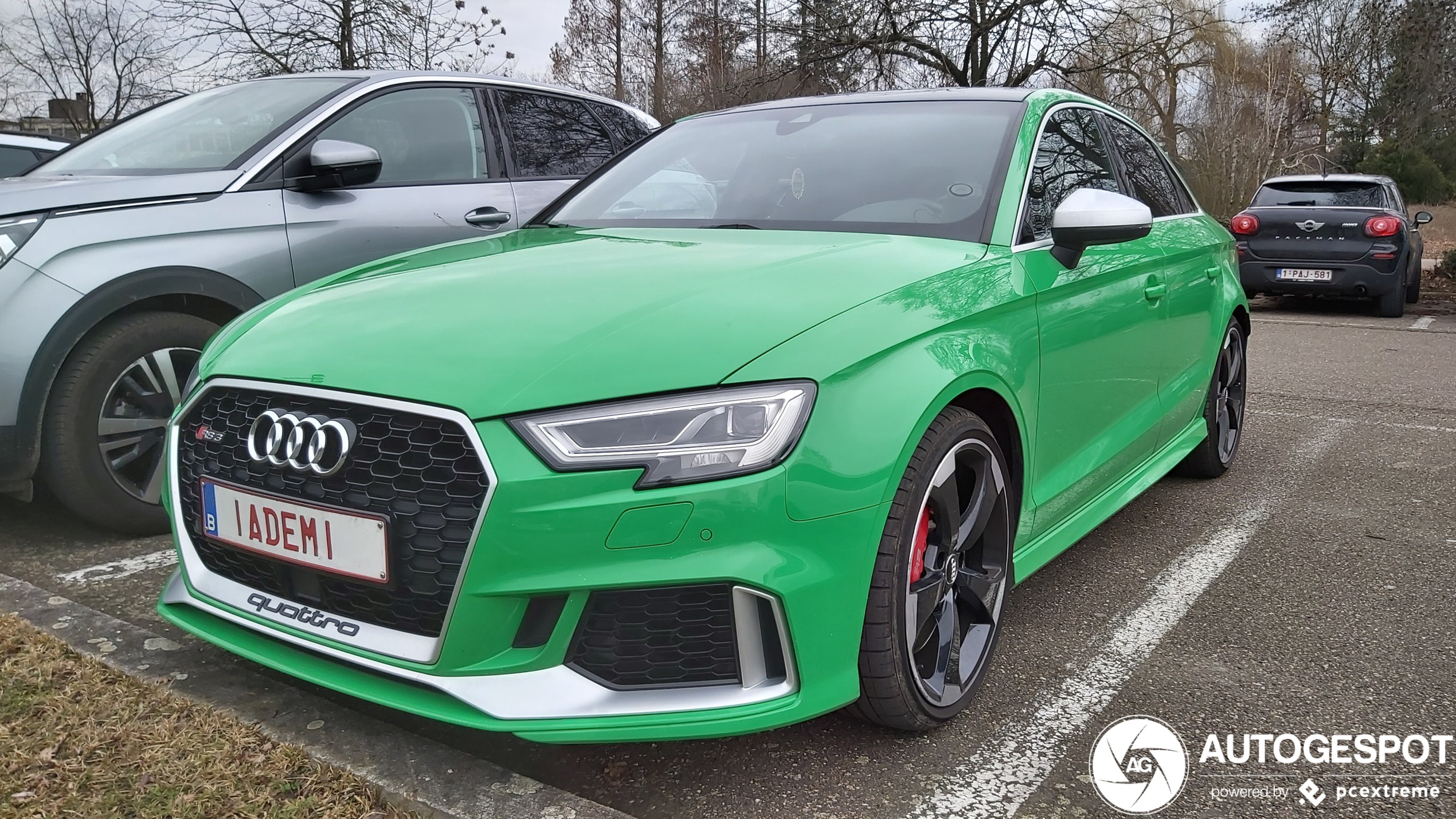 Audi RS3 Sedan 8V