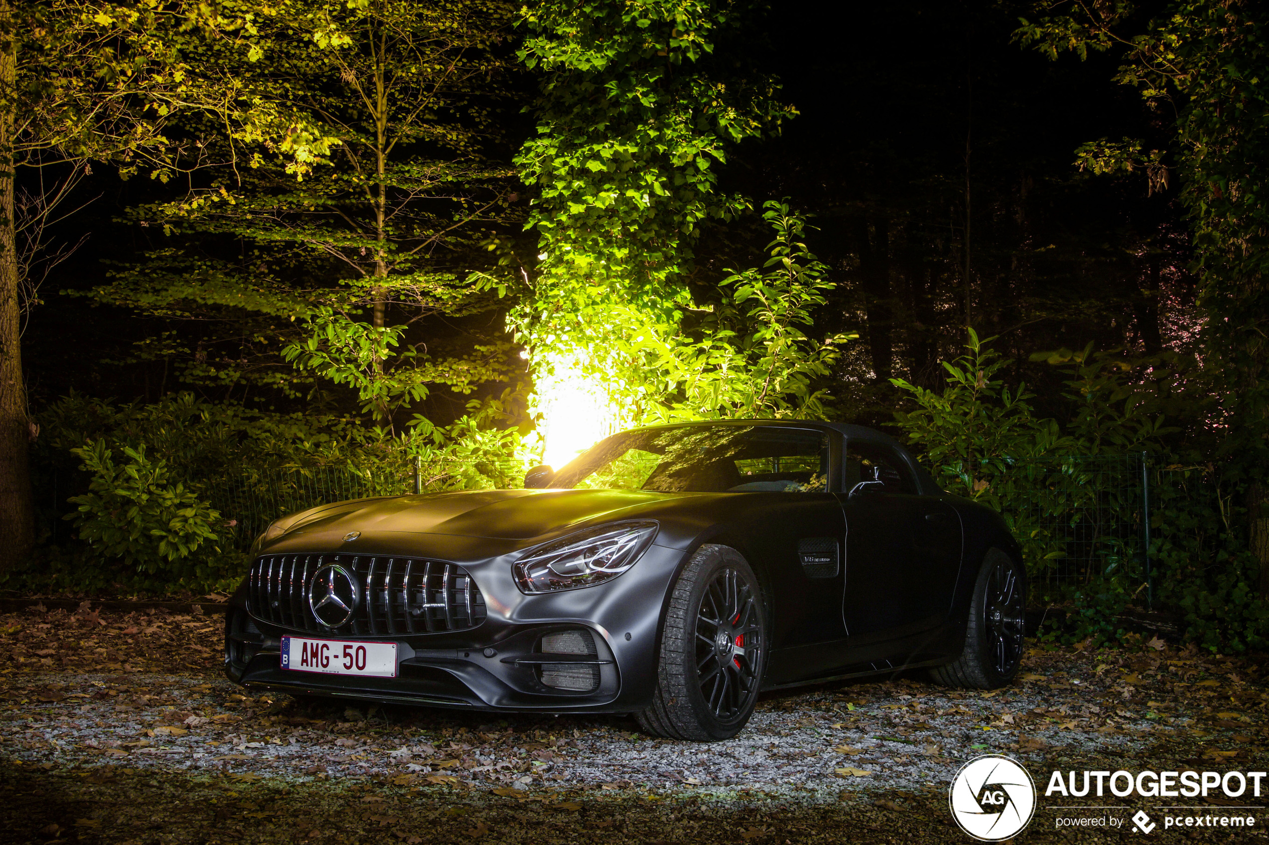 Mercedes-AMG GT C Roadster R190 Edition 50