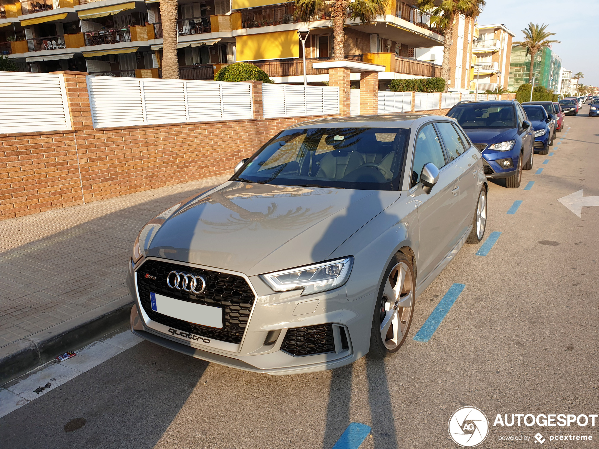 Audi RS3 Sportback 8V 2018