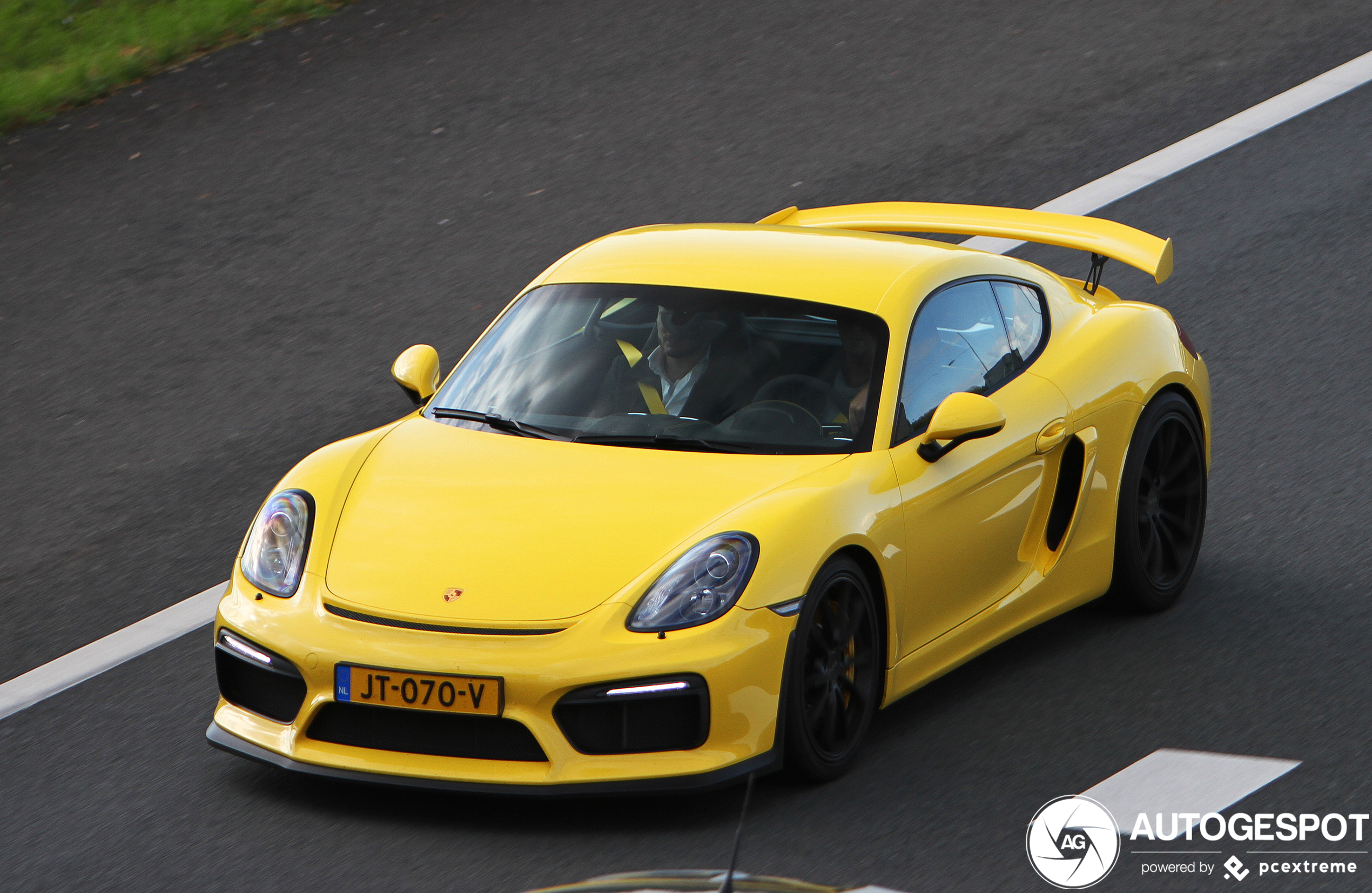 Porsche 981 Cayman GT4