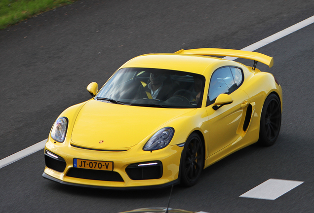 Porsche 981 Cayman GT4