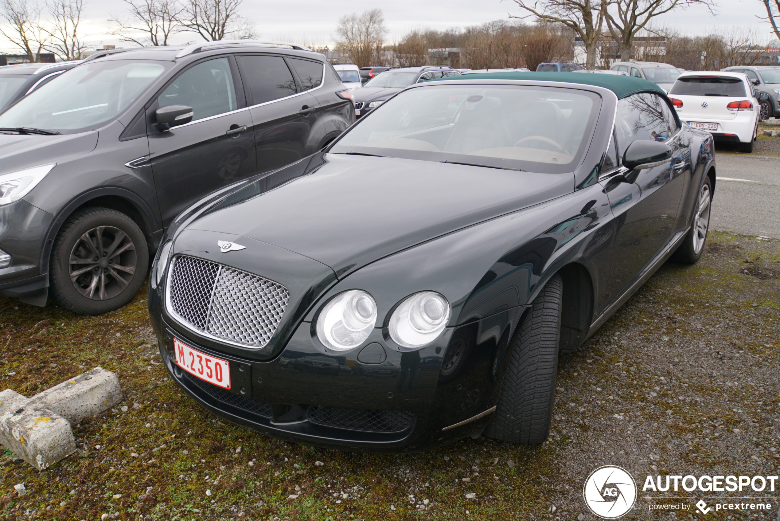 Bentley Continental GTC