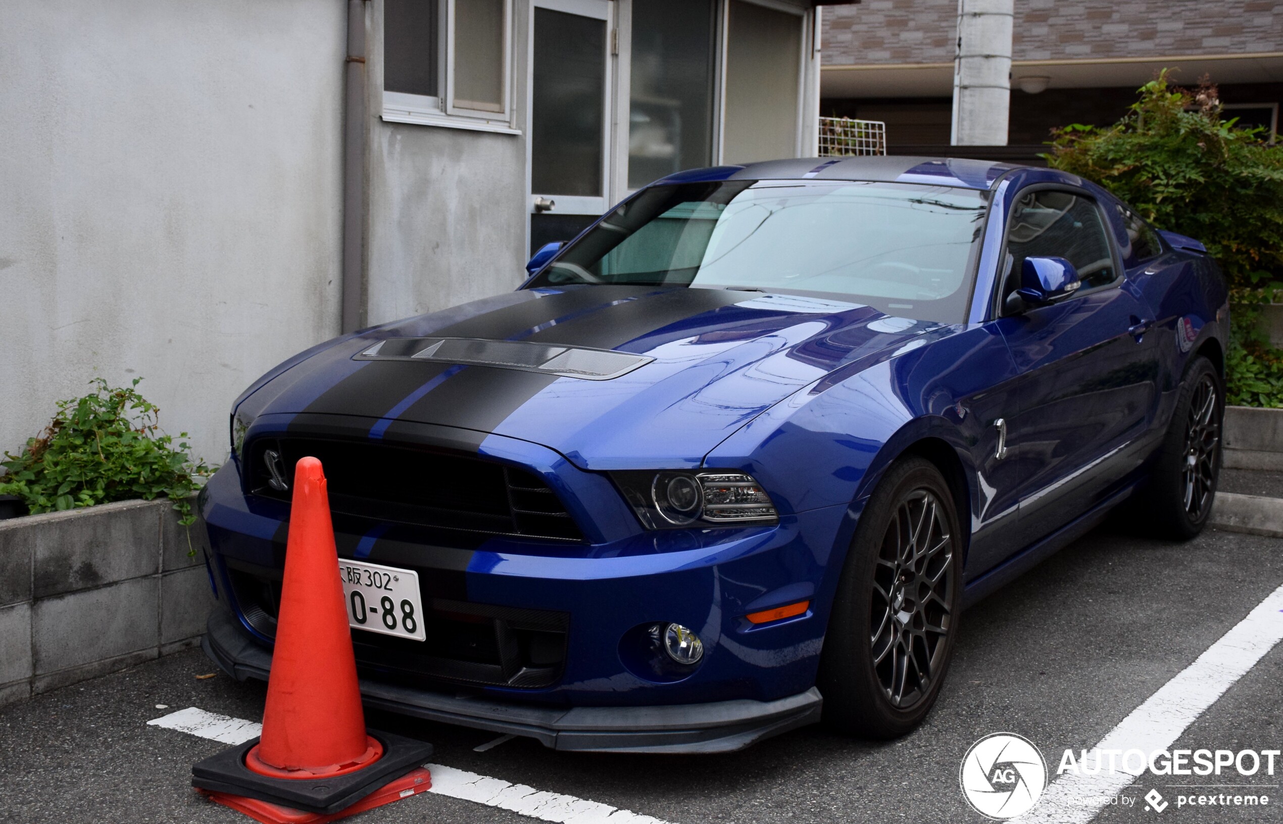 Ford Mustang Shelby GT500 2013