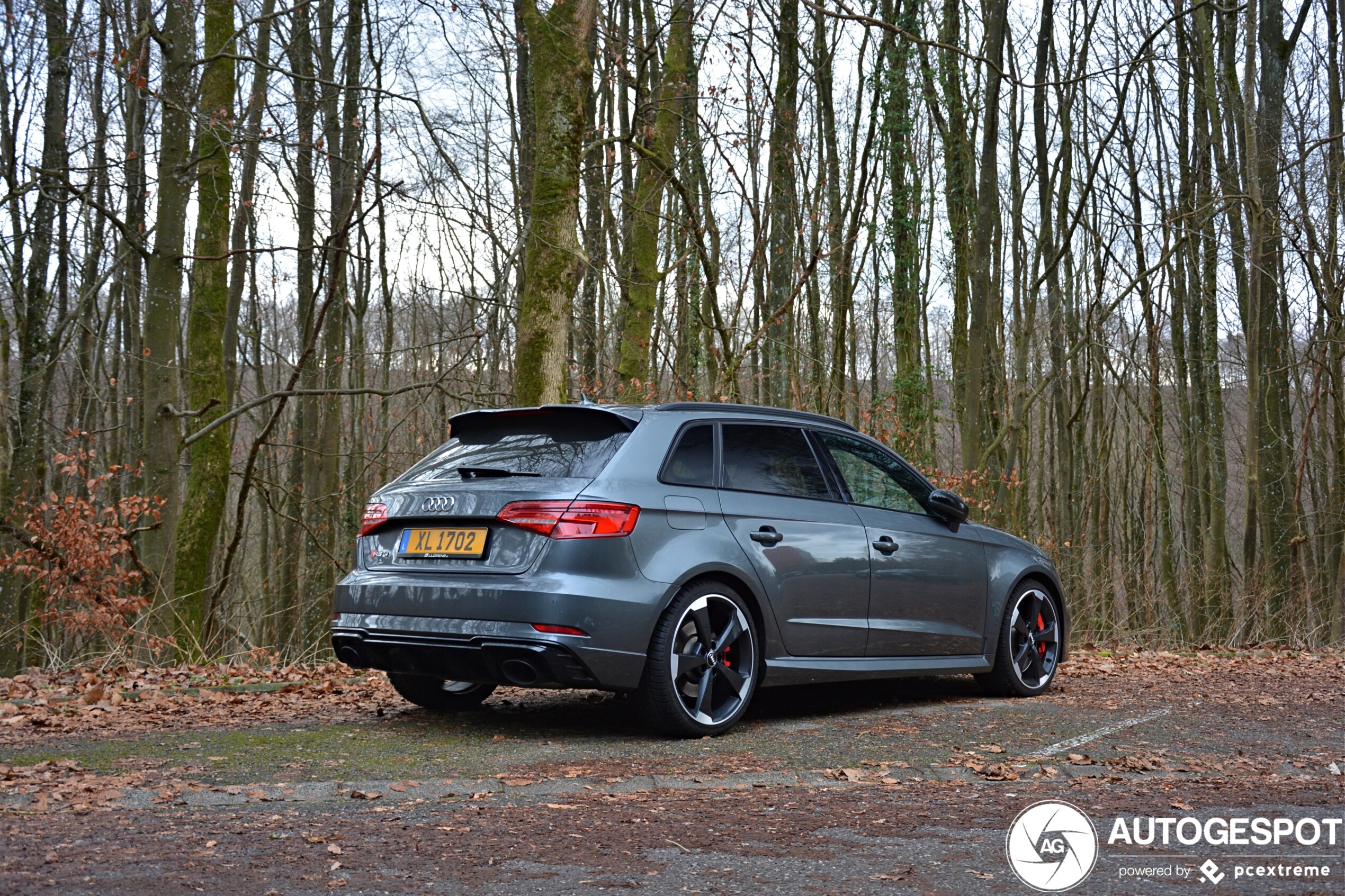 Audi RS3 Sportback 8V 2018