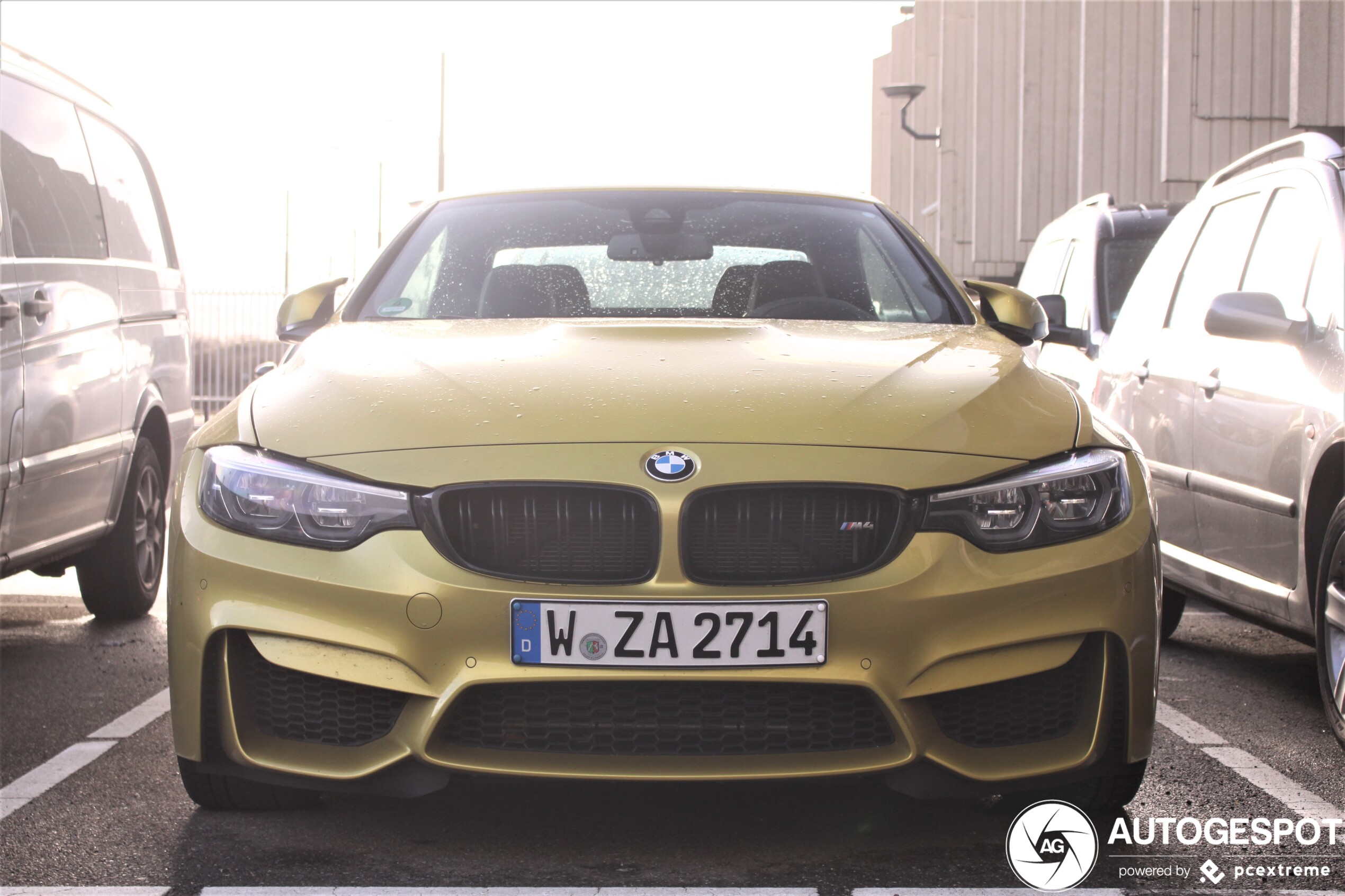 BMW M4 F83 Convertible