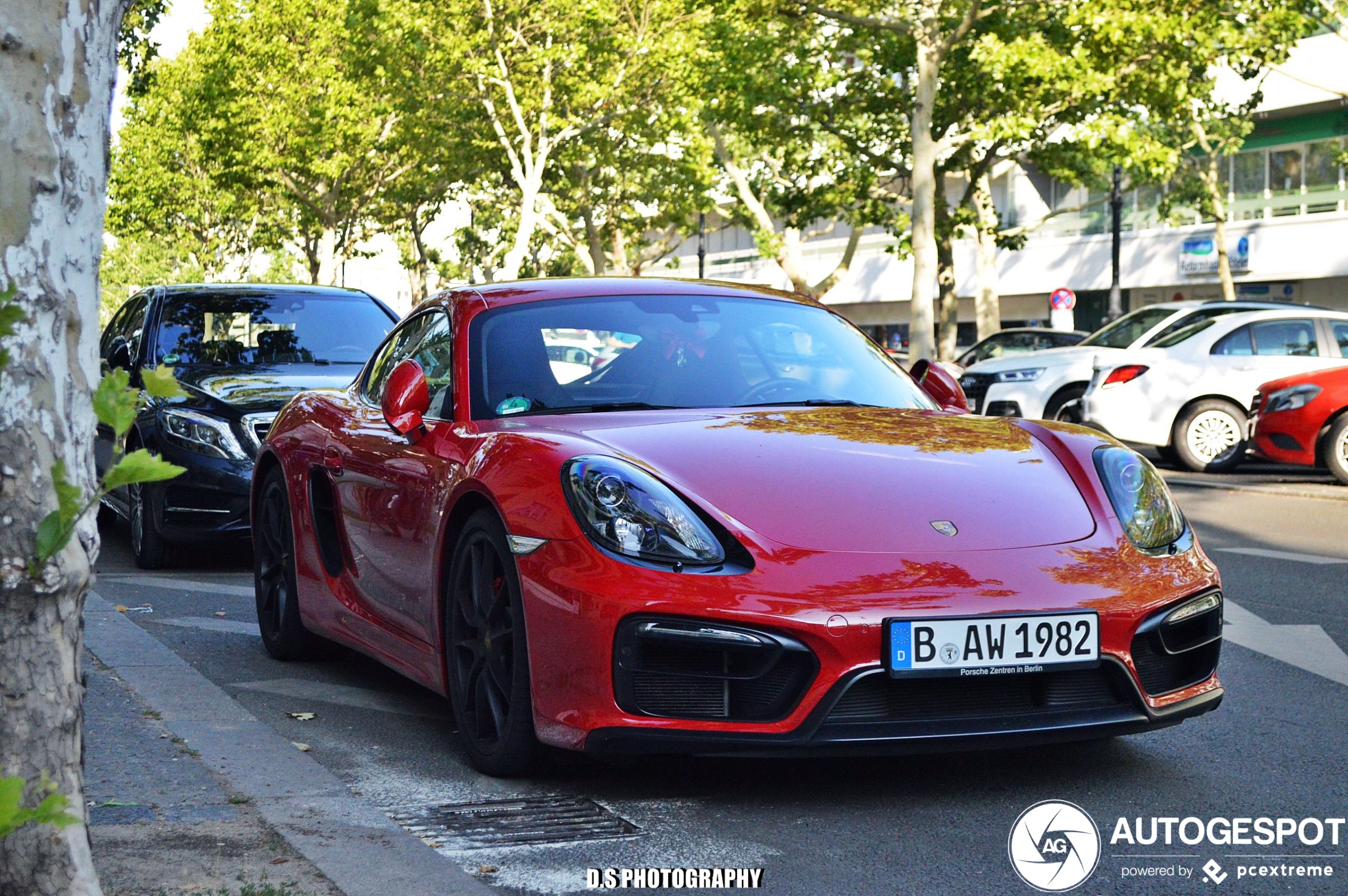 Porsche 981 Cayman GTS