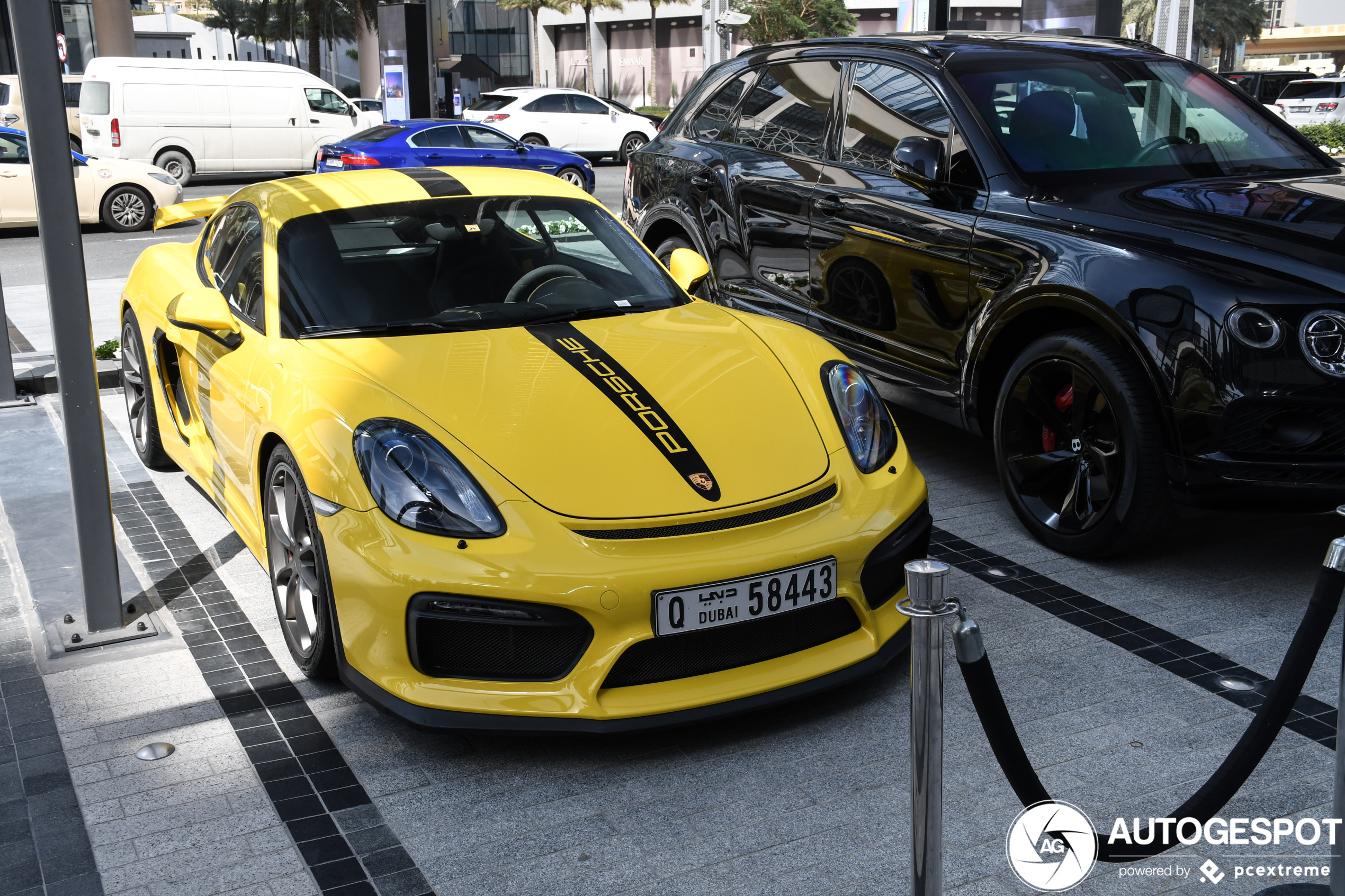 Porsche 981 Cayman GT4