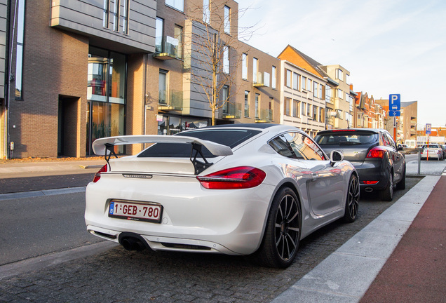 Porsche 981 Cayman S