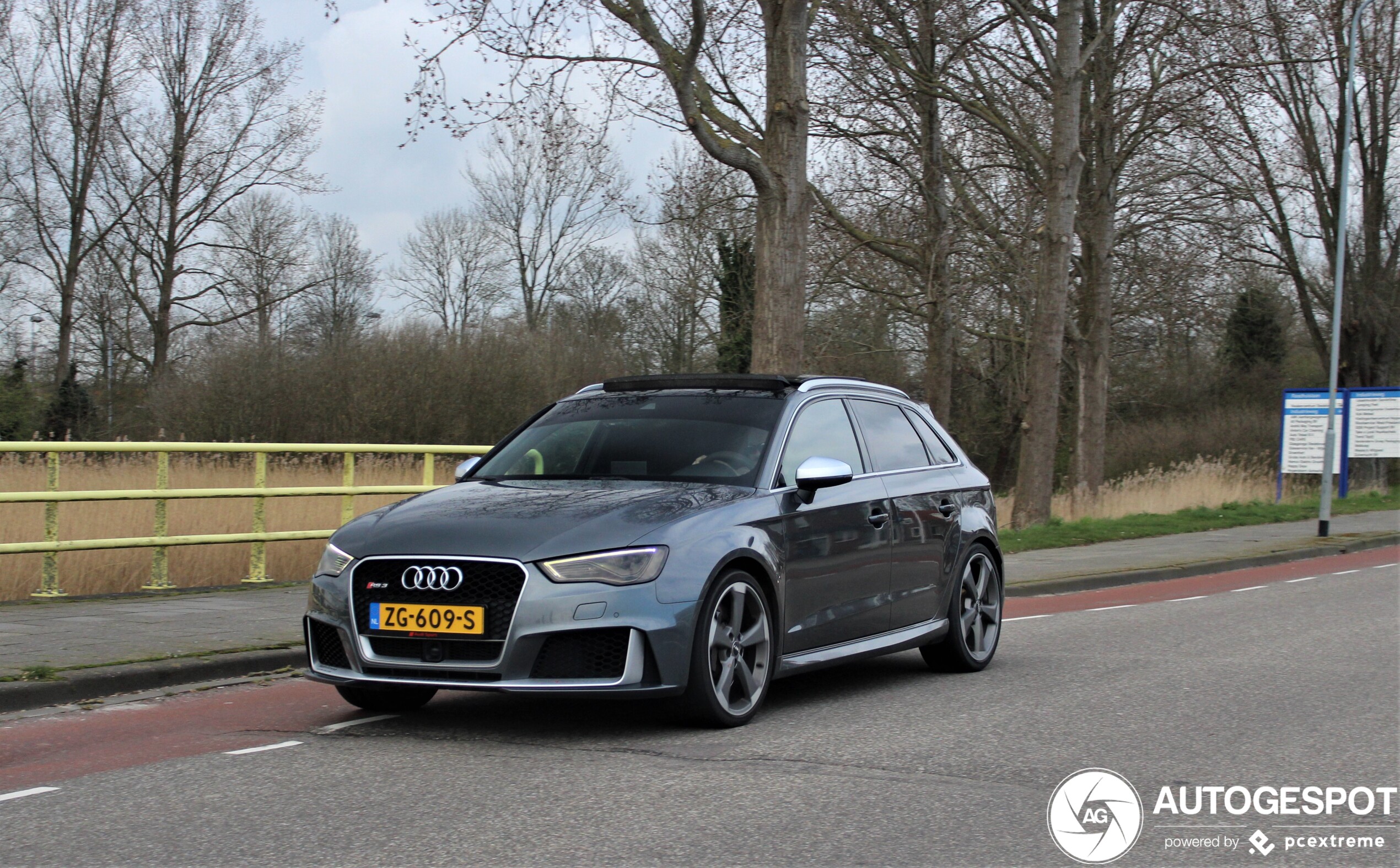 Audi RS3 Sportback 8V