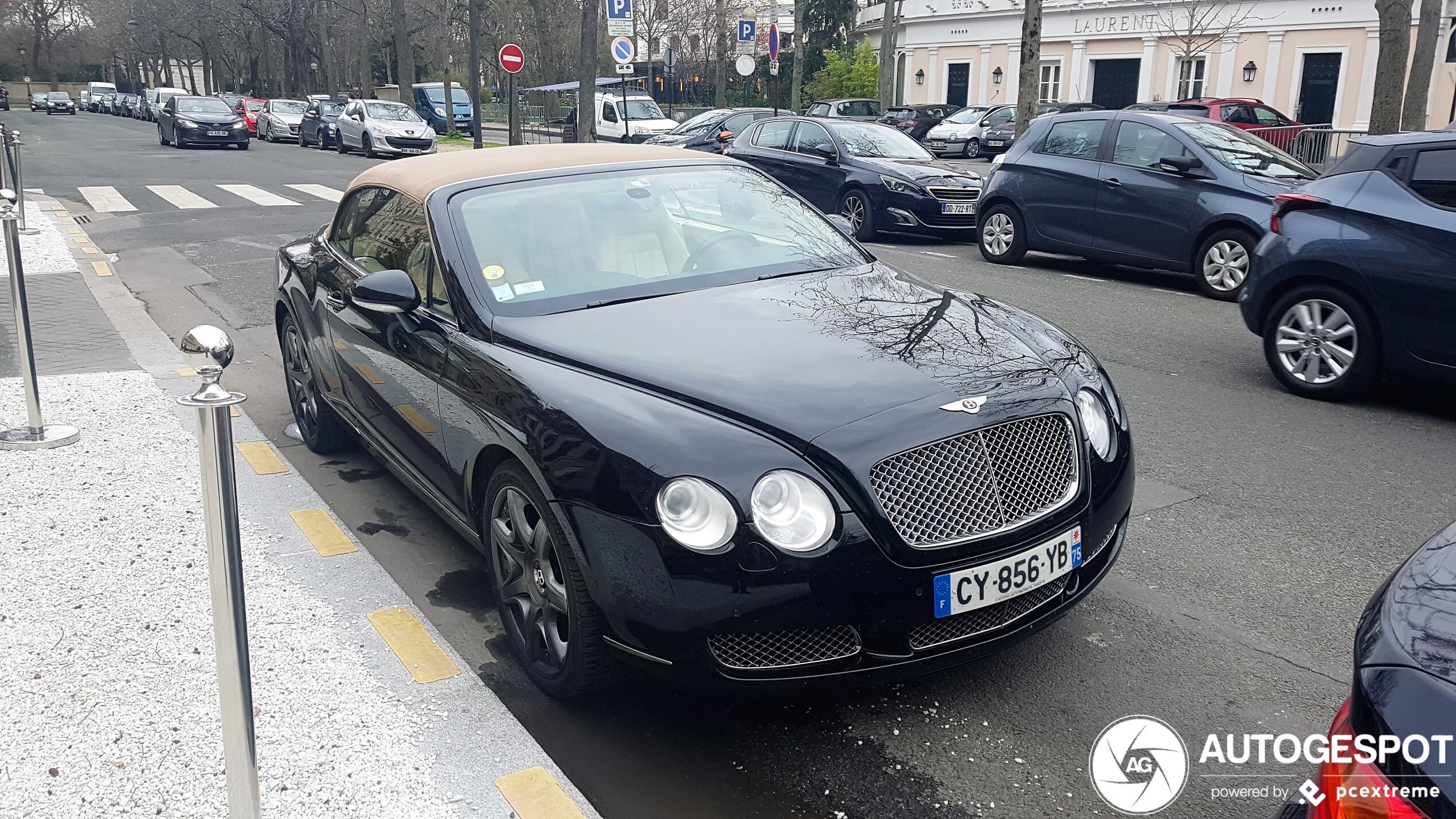 Bentley Continental GTC