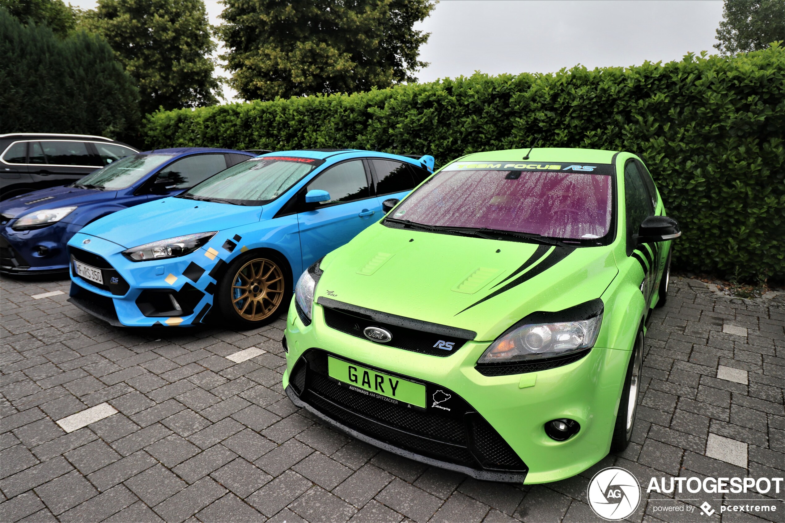 Ford Focus RS 2009 Wolf Racing