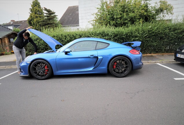 Porsche 981 Cayman GT4