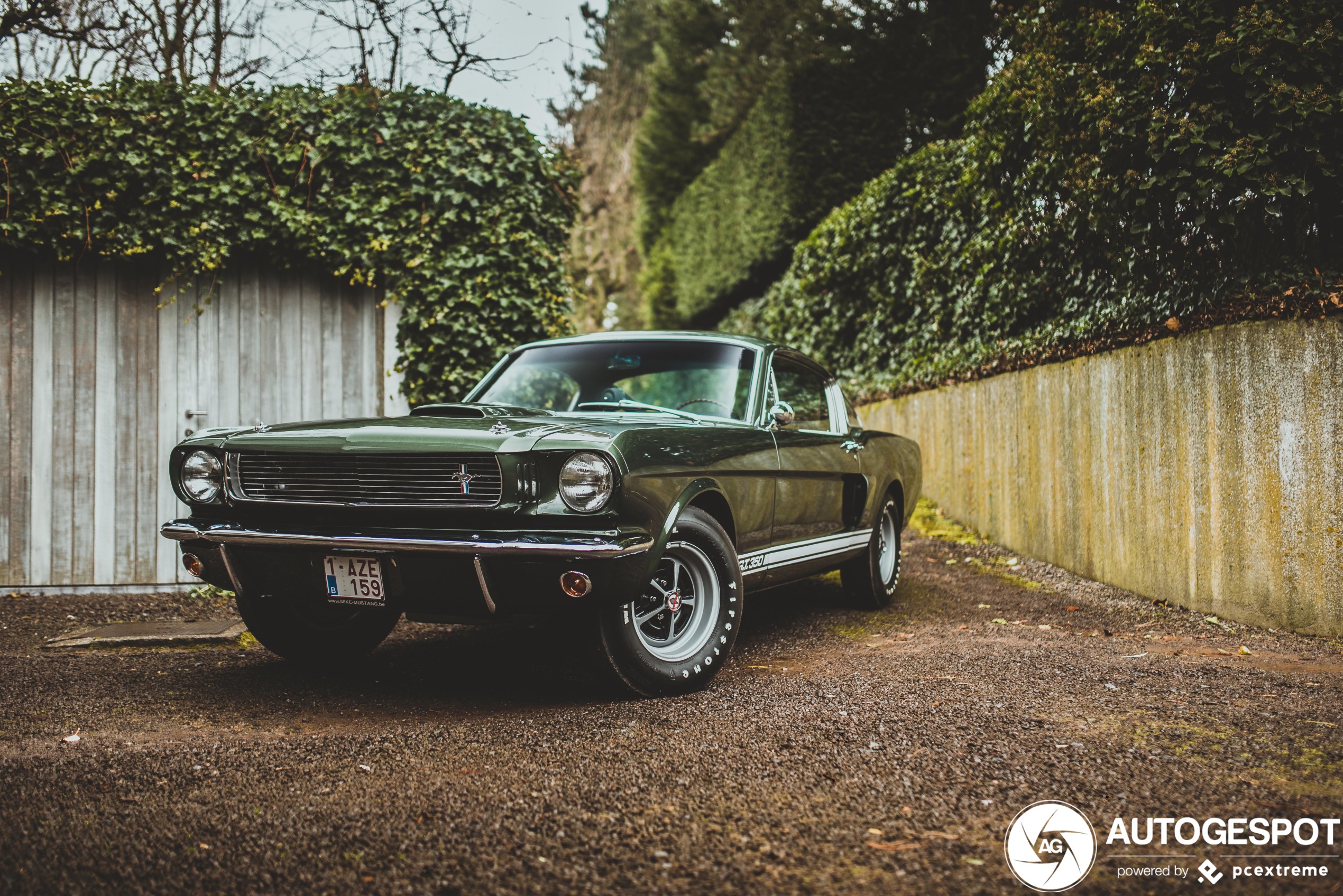 Ford Mustang Shelby G.T. 350