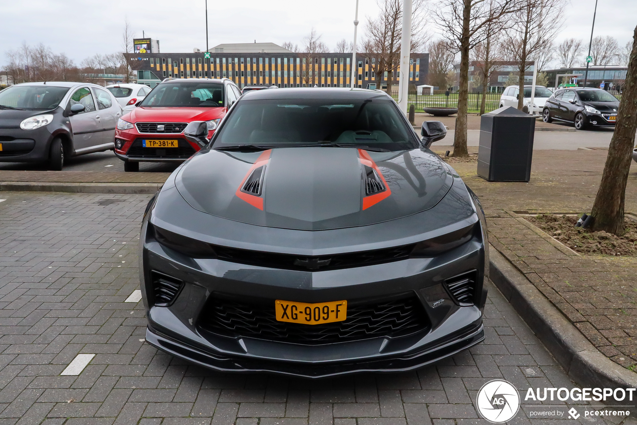 Chevrolet Camaro SS 2016 50th Anniversary