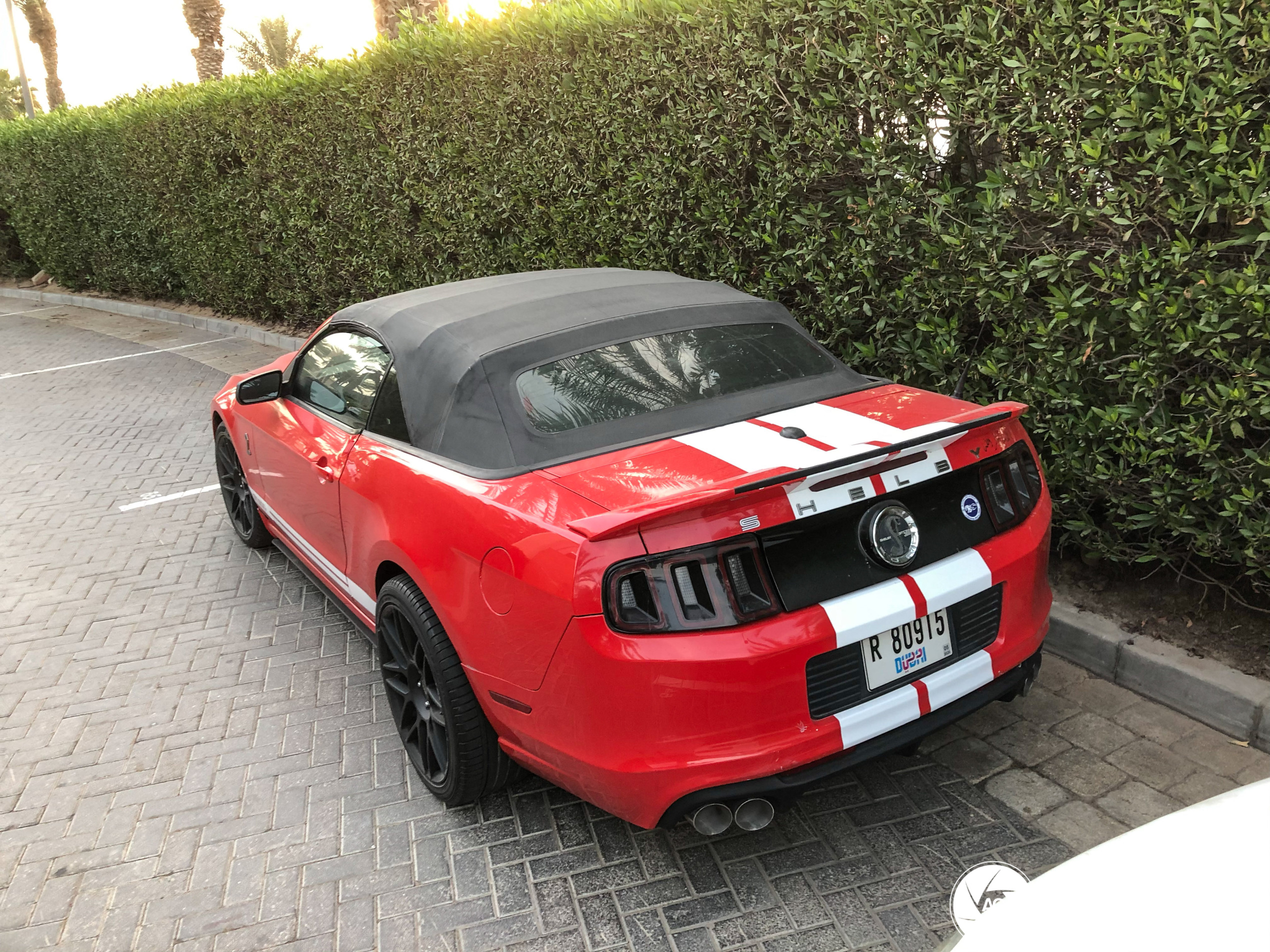 Ford Mustang Shelby GT500 Convertible 2014