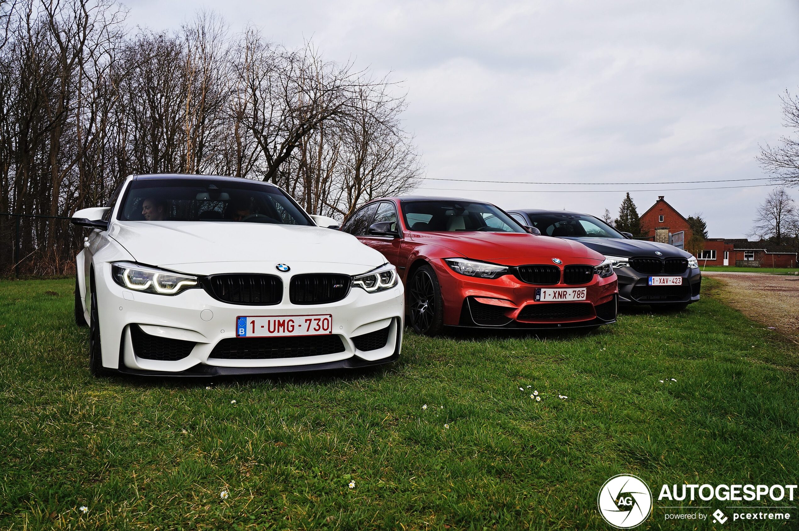 BMW M3 F80 Sedan