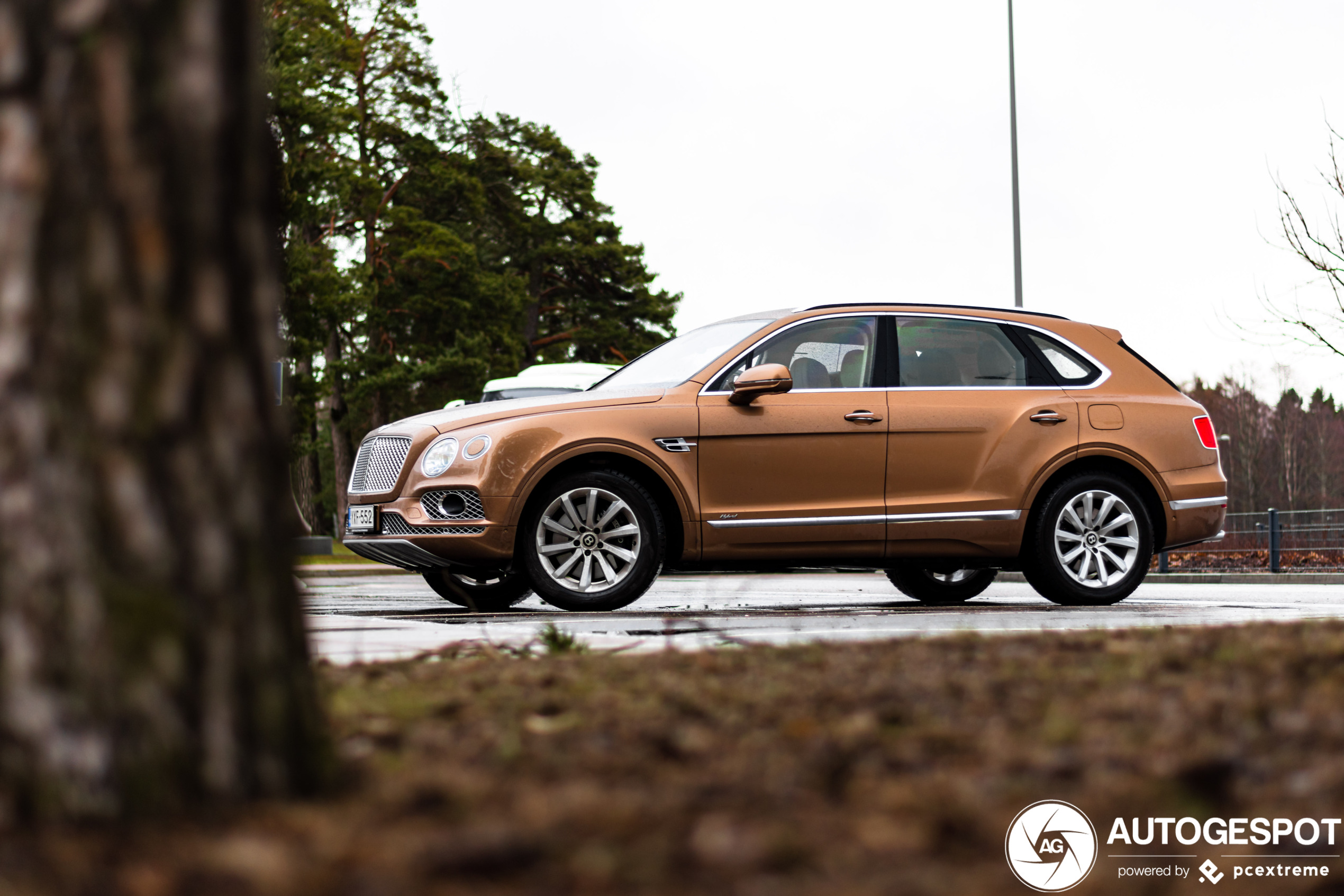 Bentley Bentayga Hybrid