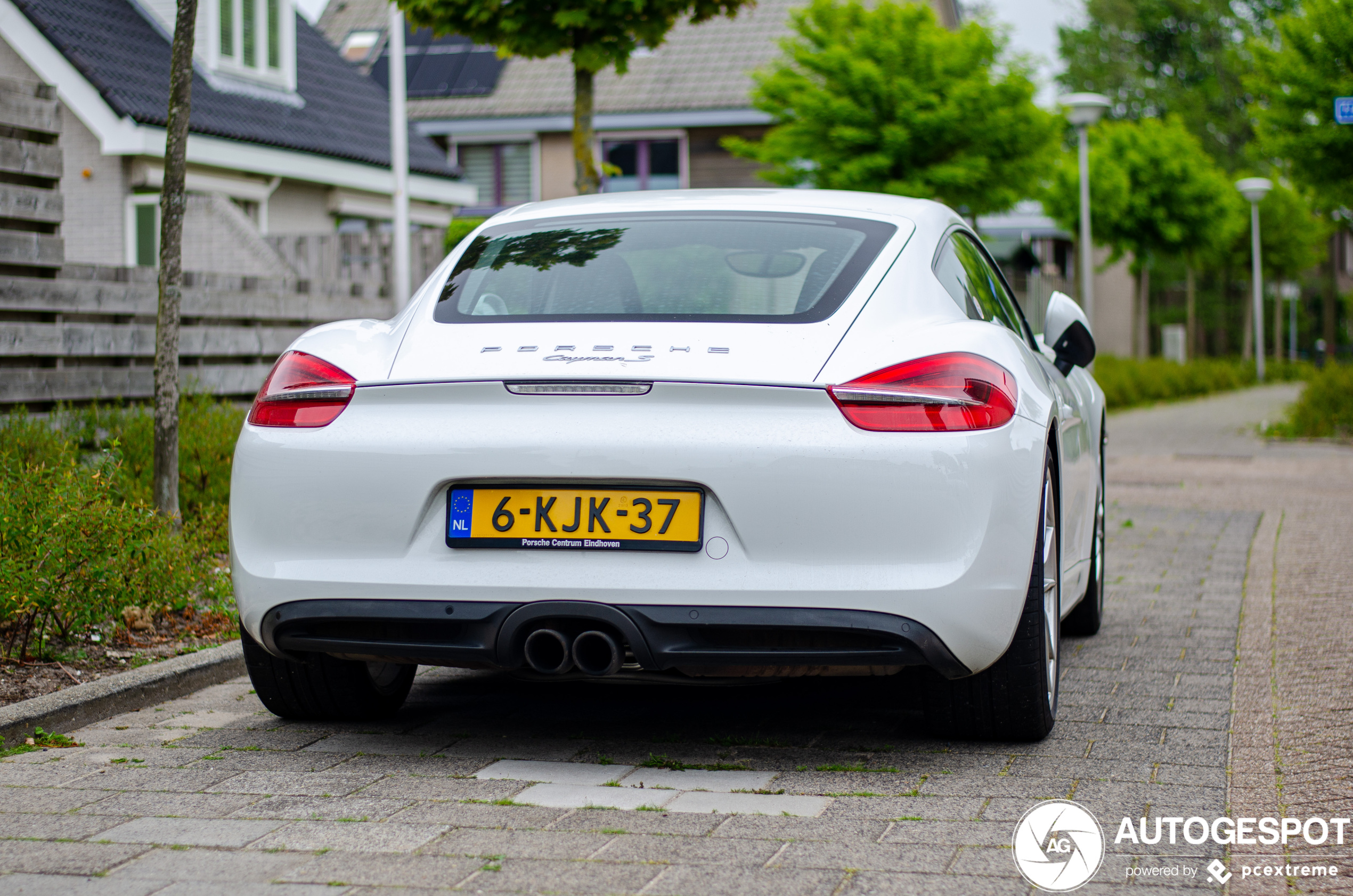 Porsche 981 Cayman S