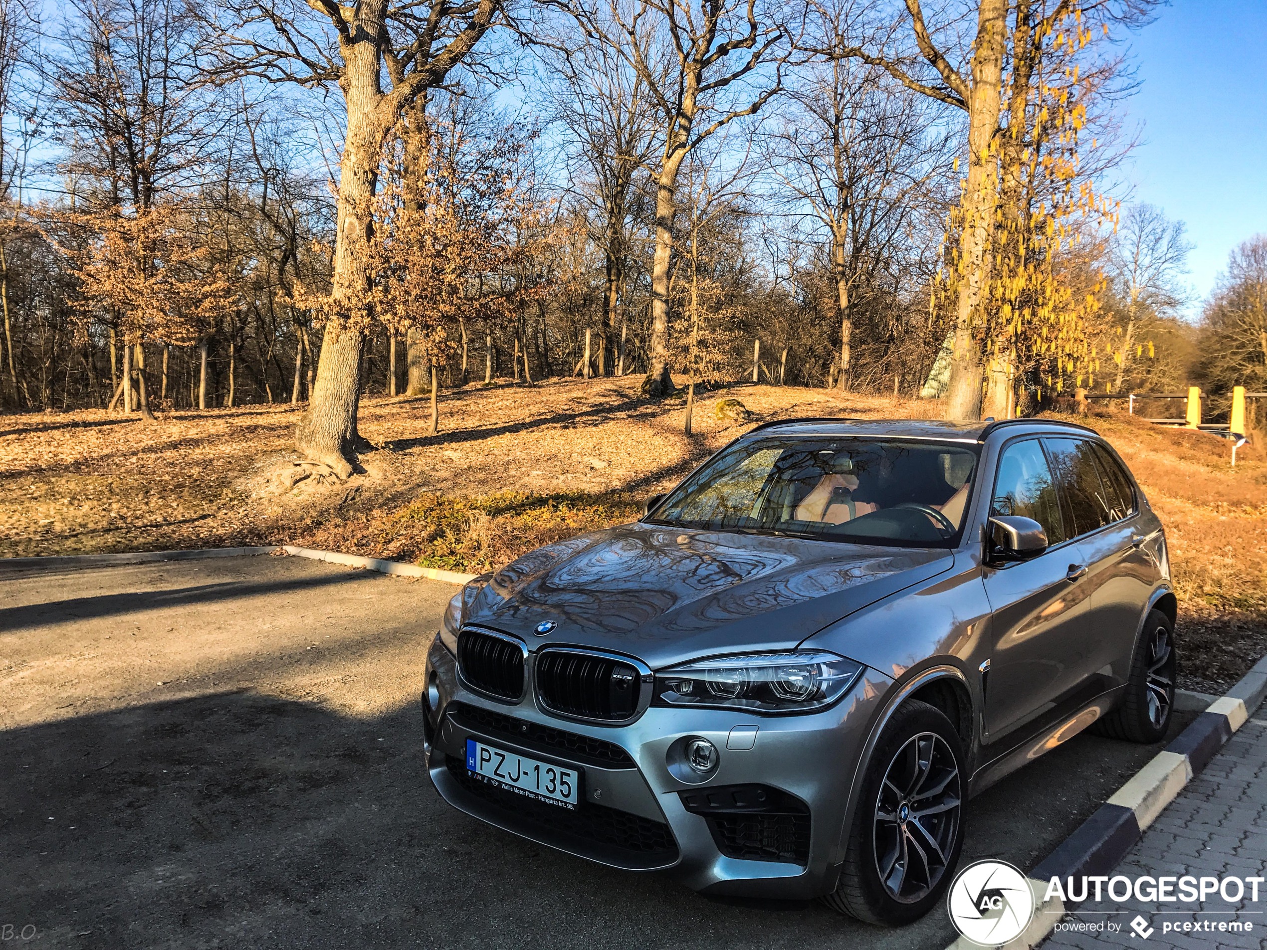 BMW X5 M F85