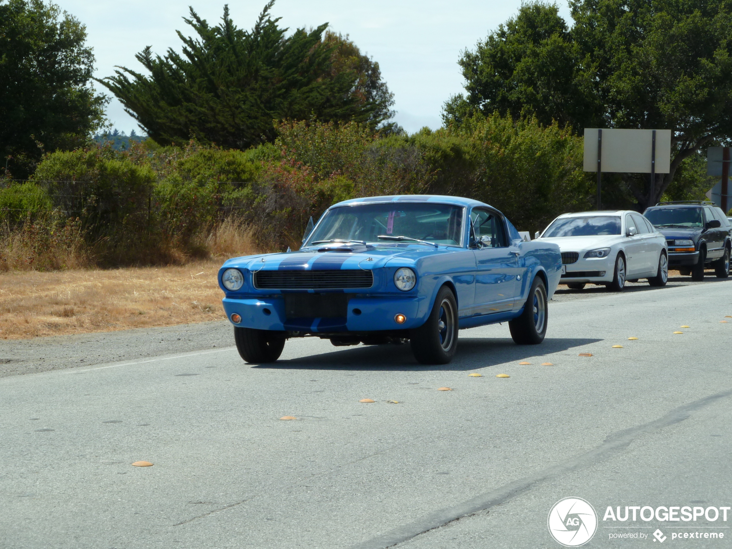 Ford Mustang Shelby G.T. 40 R