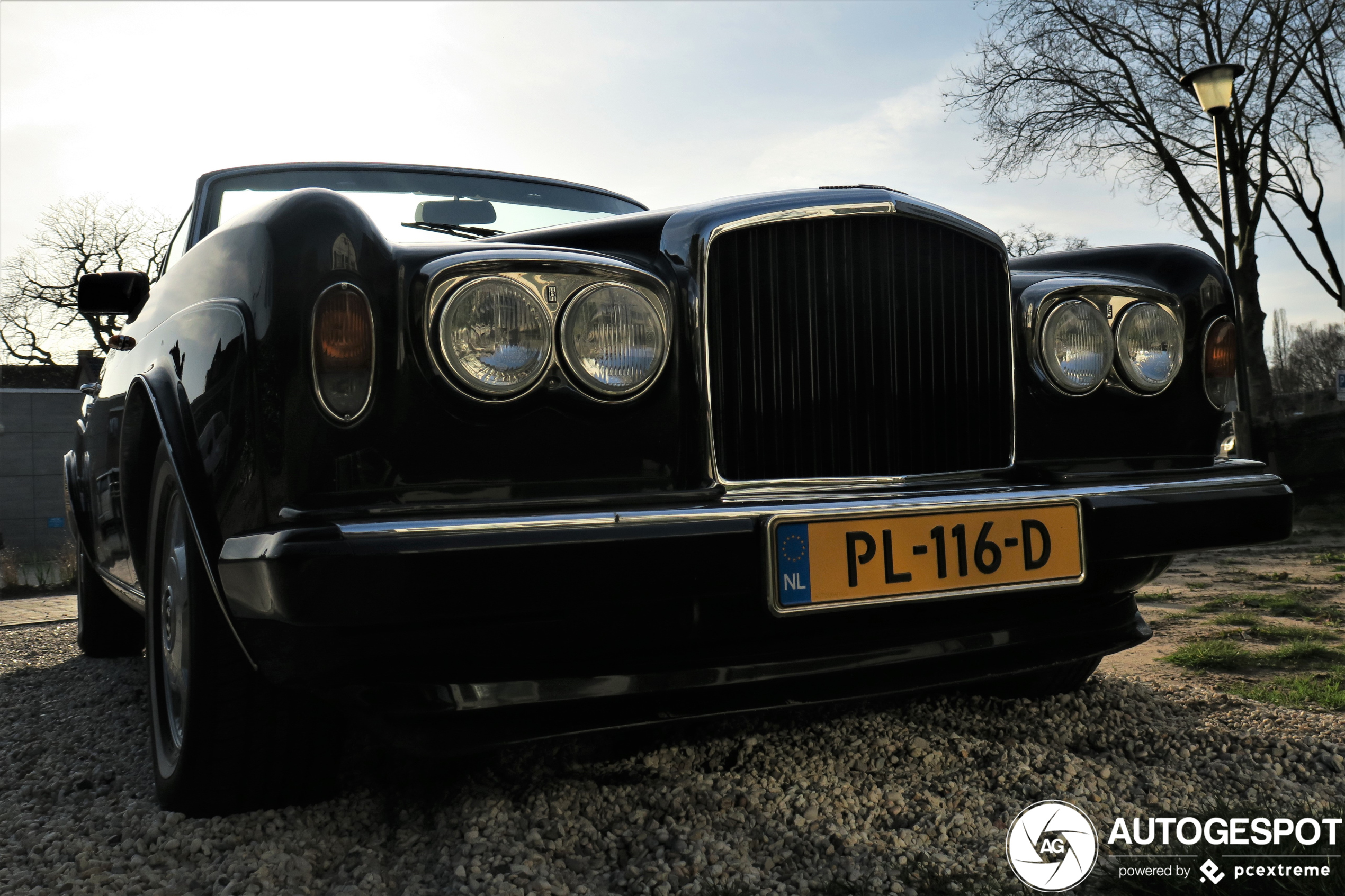 Bentley Continental Convertible