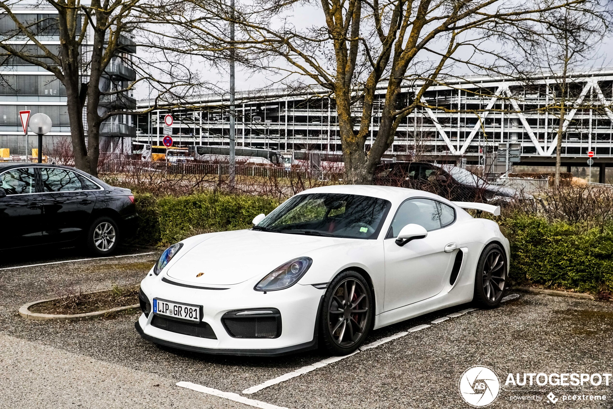 Porsche 981 Cayman GT4