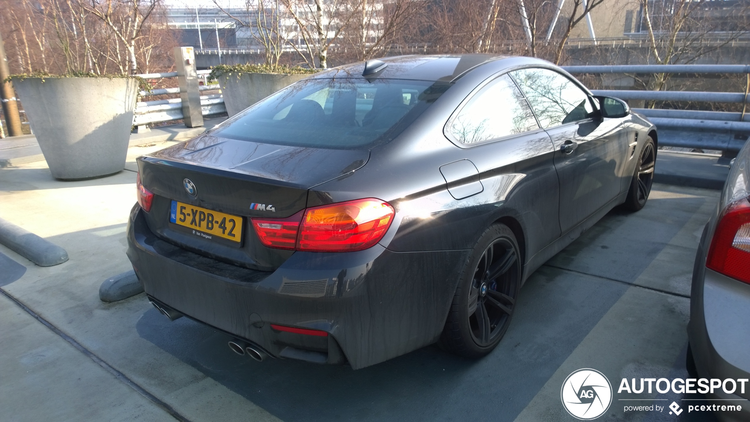 BMW M4 F82 Coupé