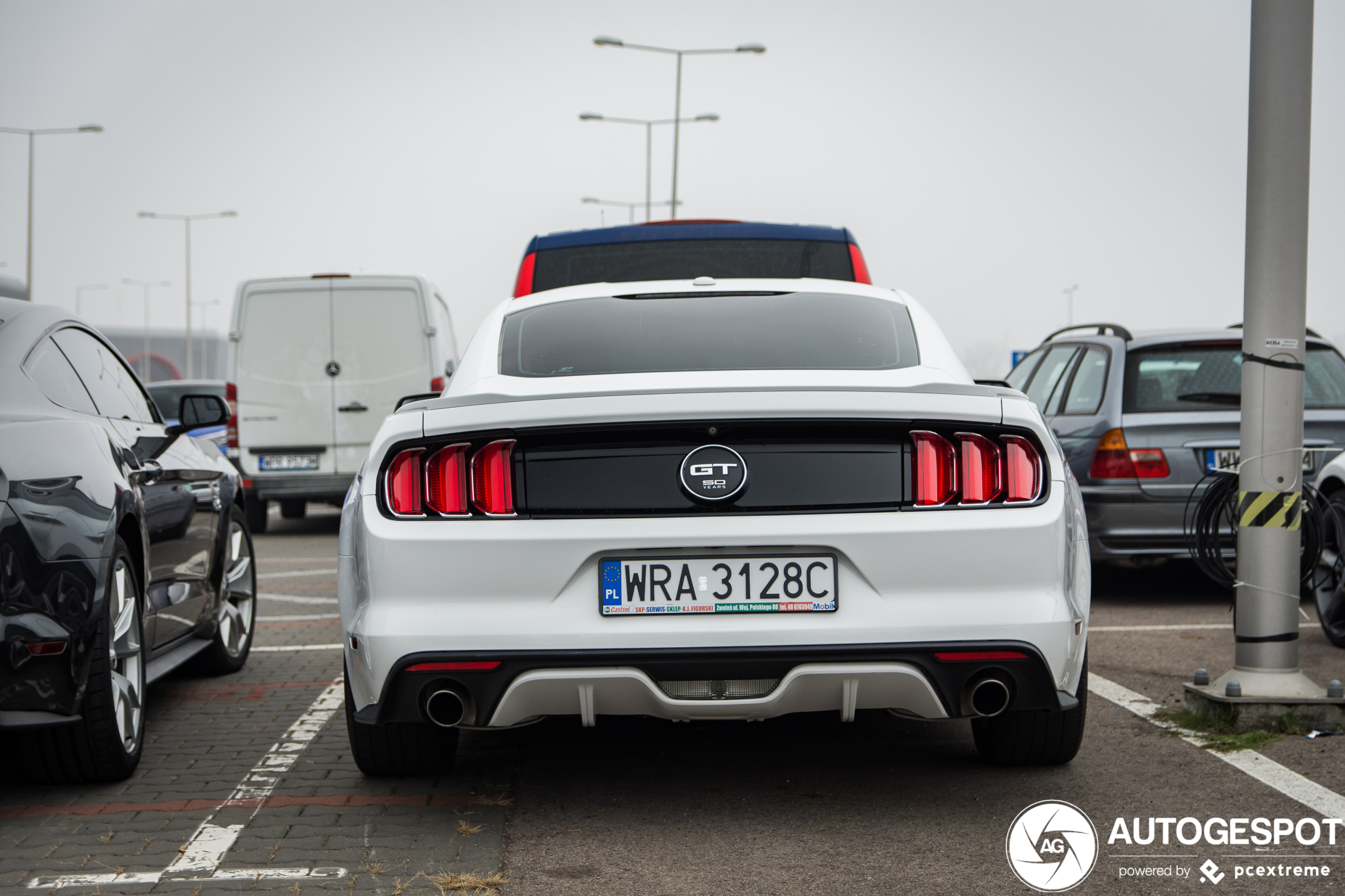 Ford Mustang GT 50th Anniversary Edition