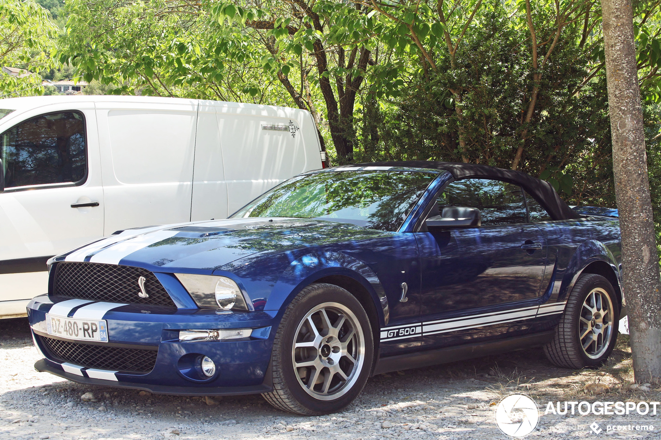 Ford Mustang Shelby GT500 Convertible