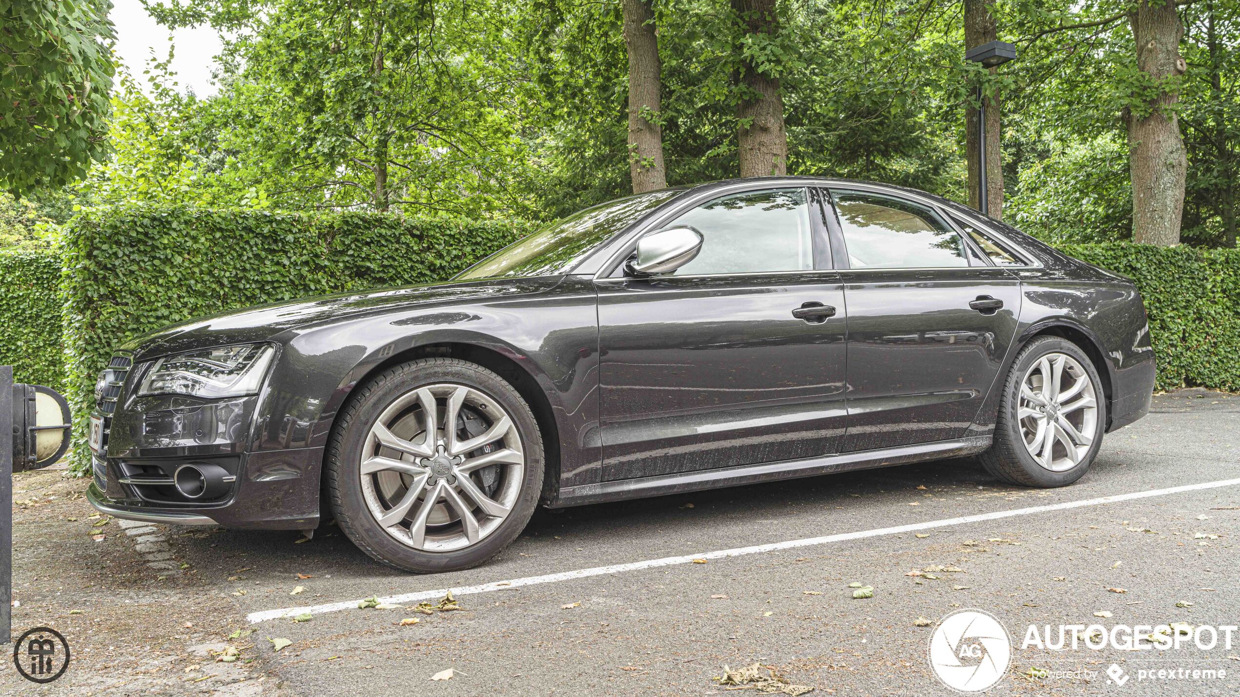 Audi S8 D4