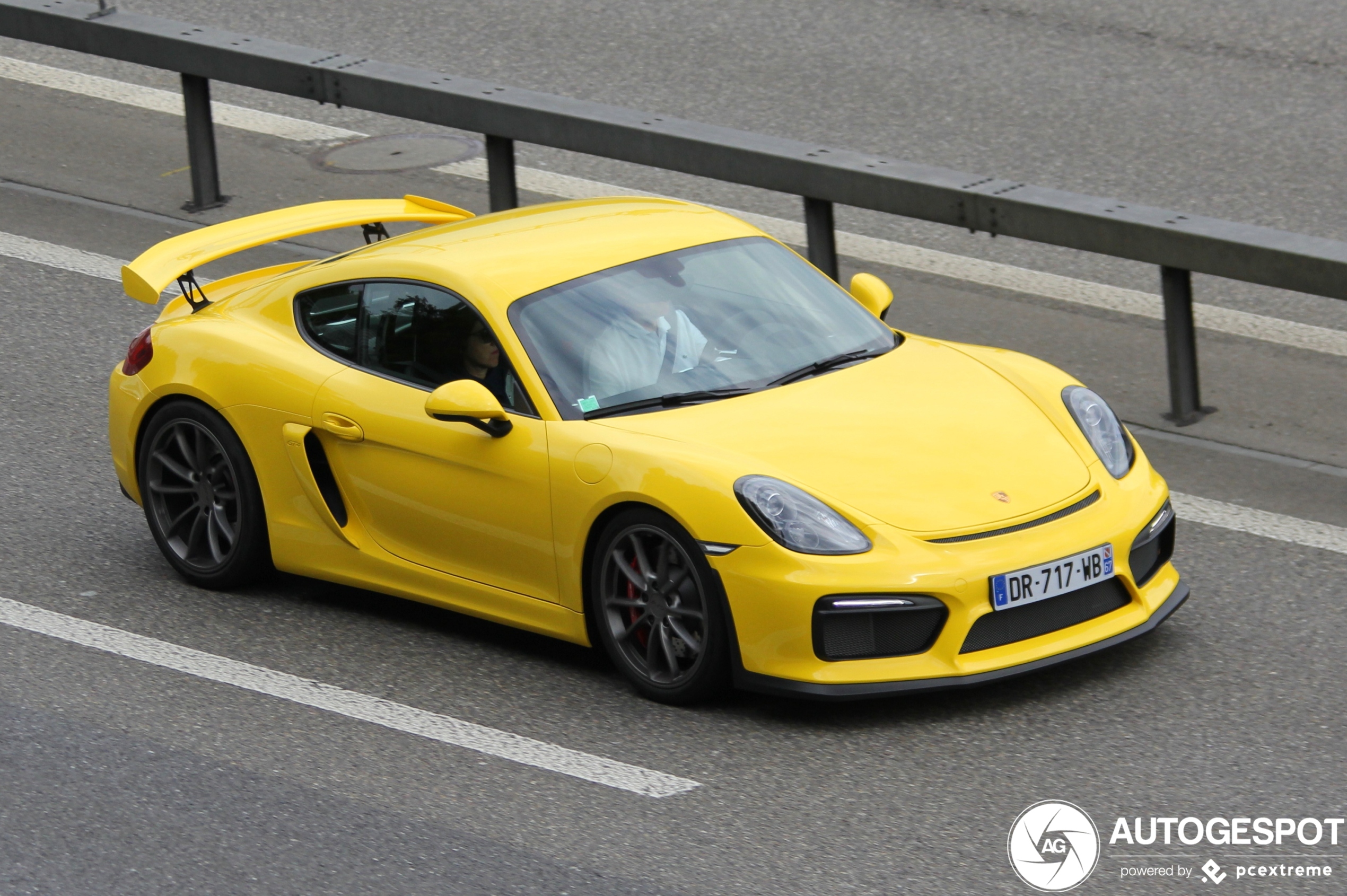 Porsche 981 Cayman GT4