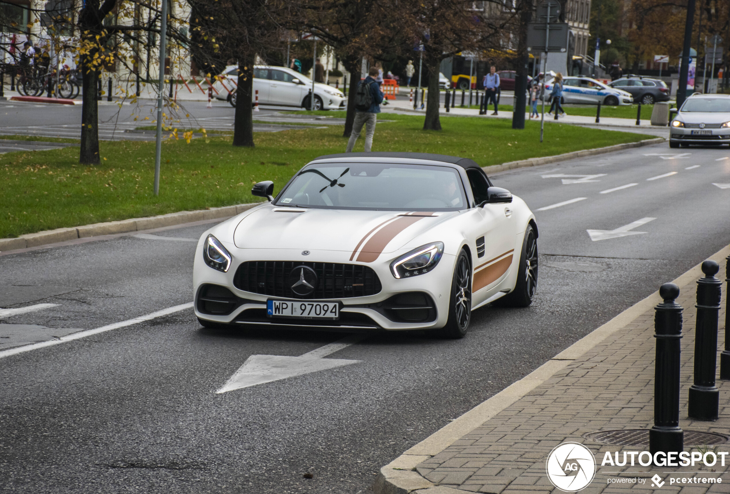 Mercedes-AMG GT C Roadster R190 Edition 50