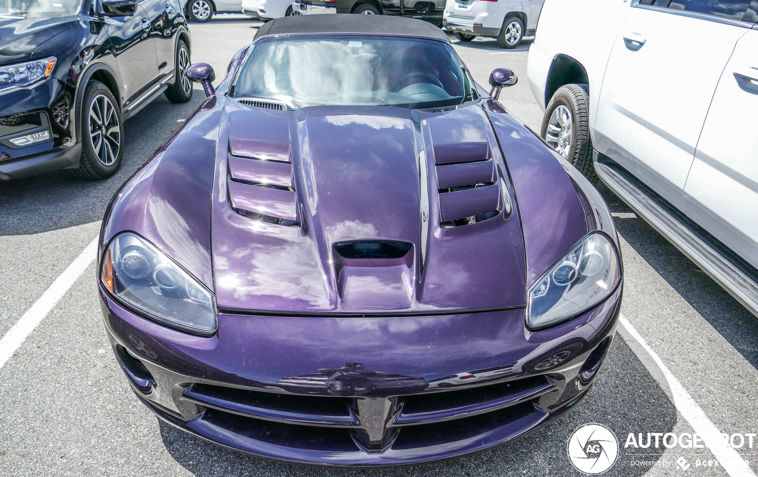 Dodge Viper SRT-10 Roadster 2008