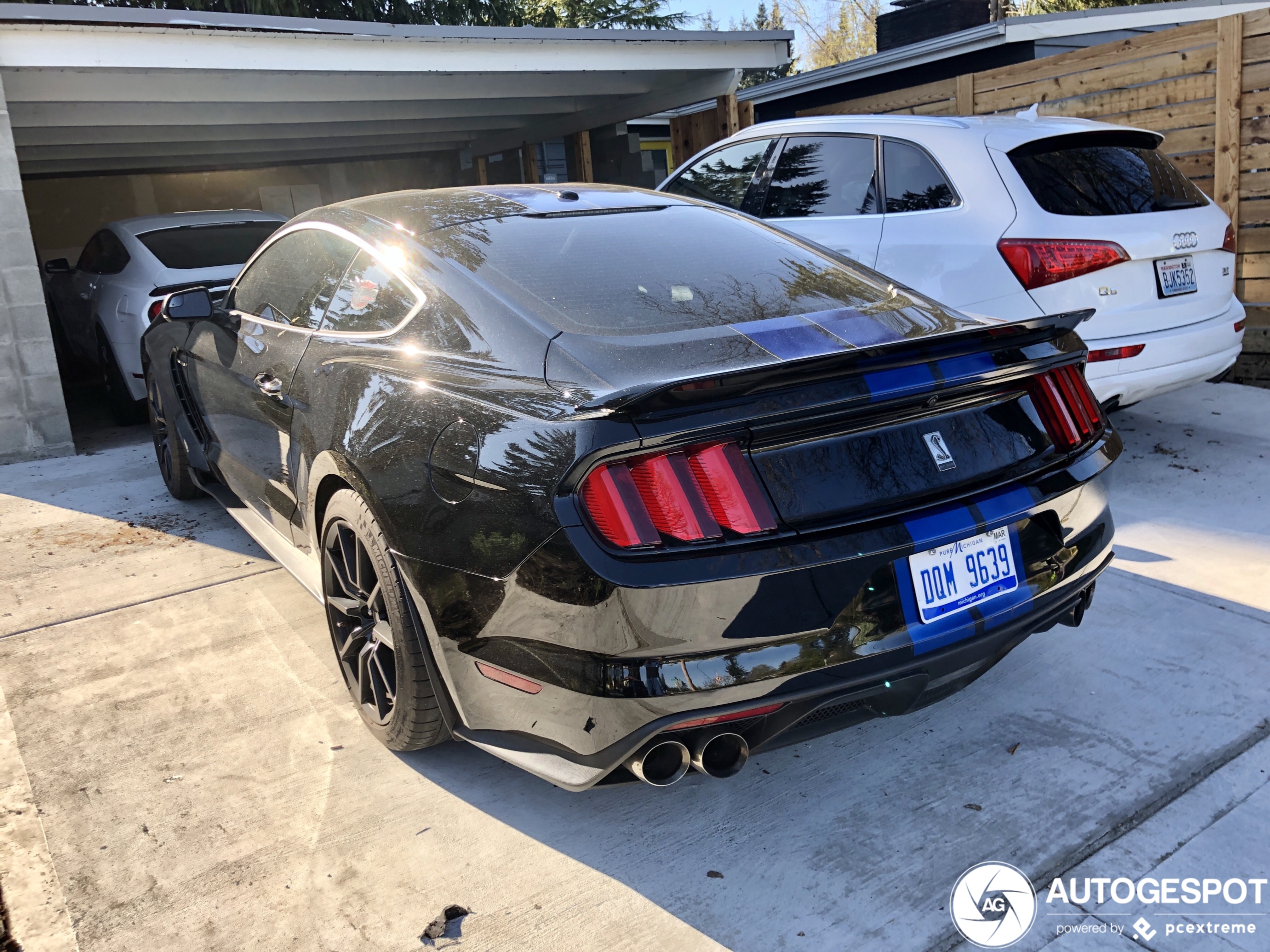 Ford Mustang Shelby GT350 2015