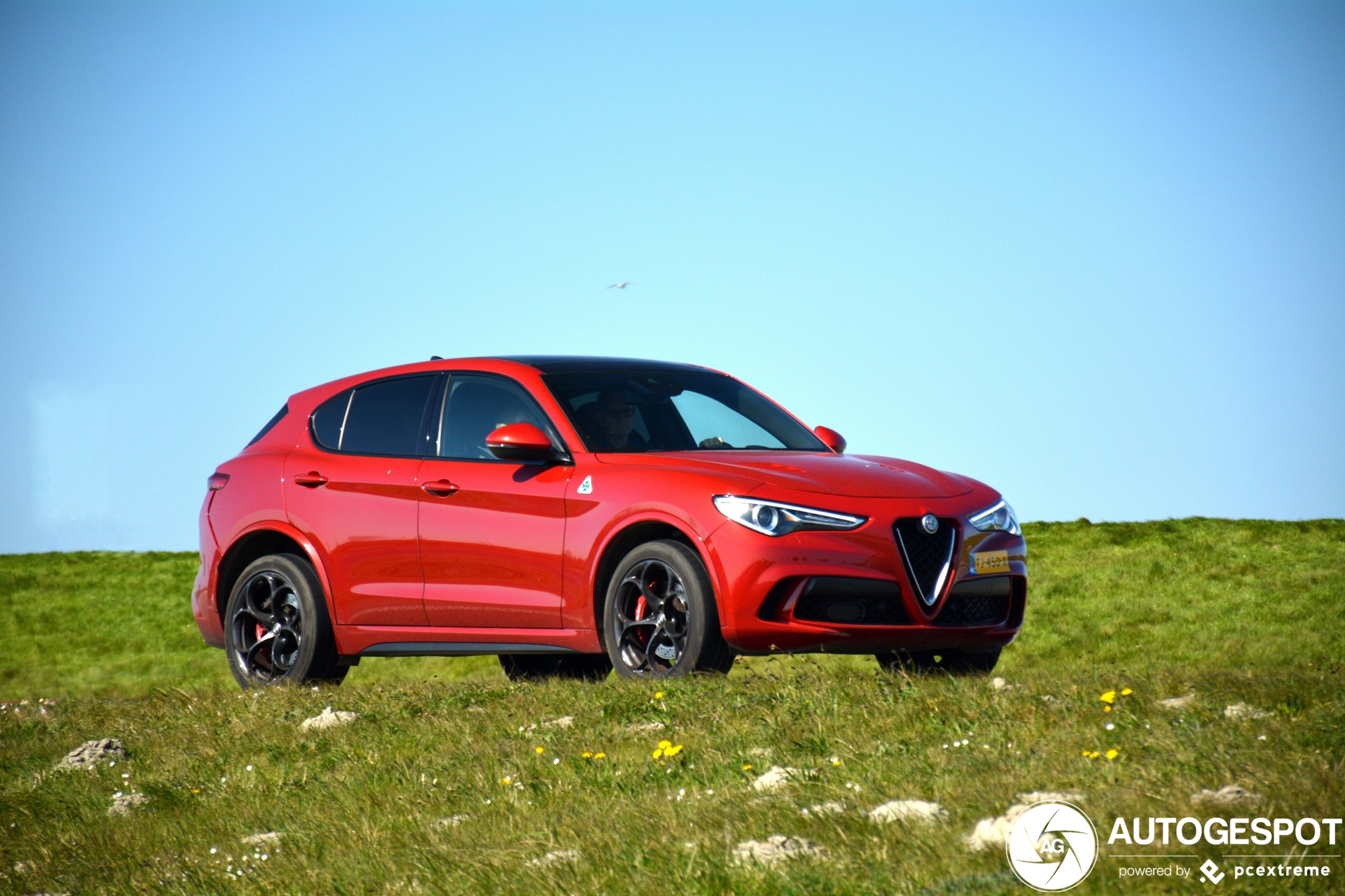 Alfa Romeo Stelvio Quadrifoglio