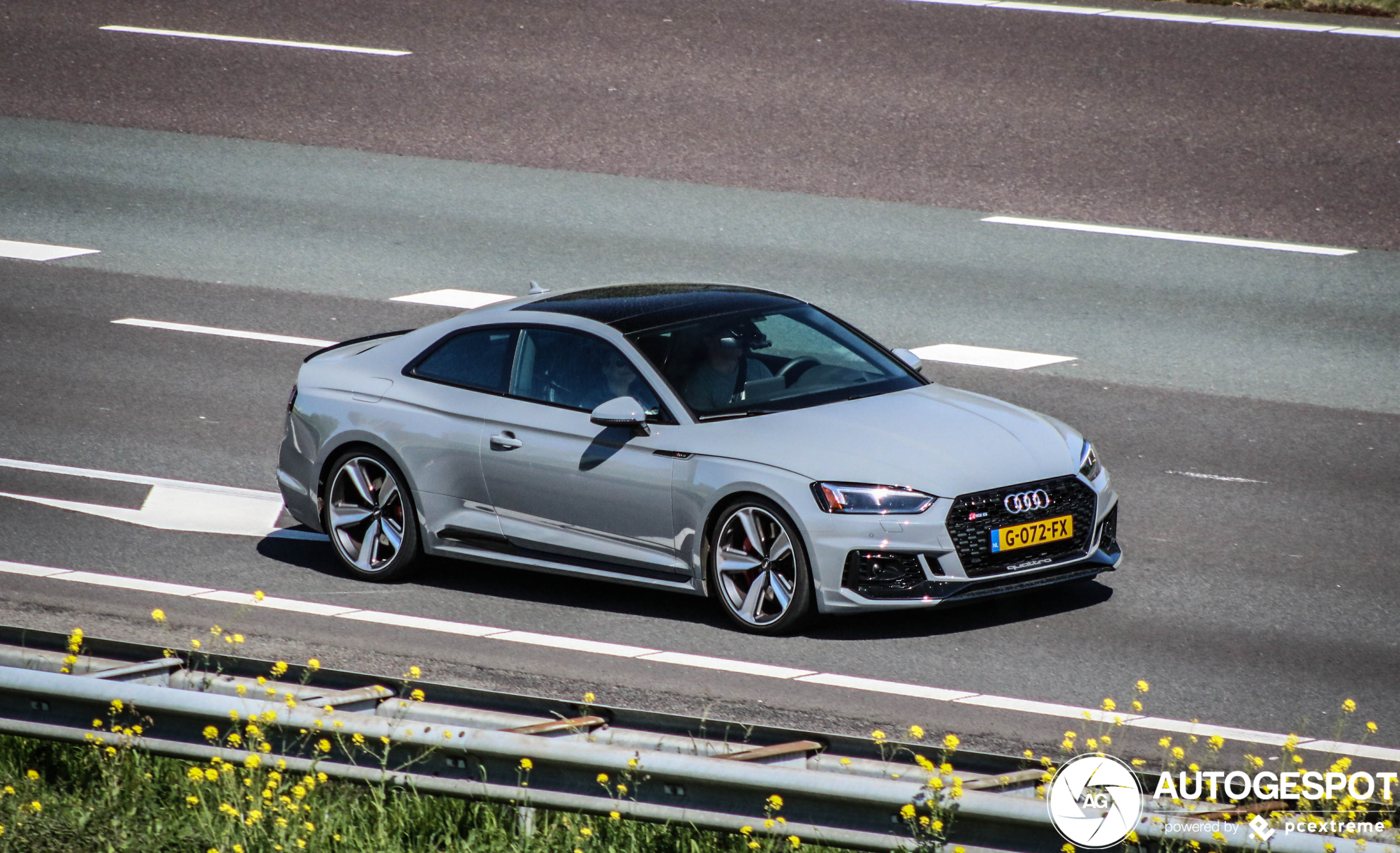 Audi RS5 B9